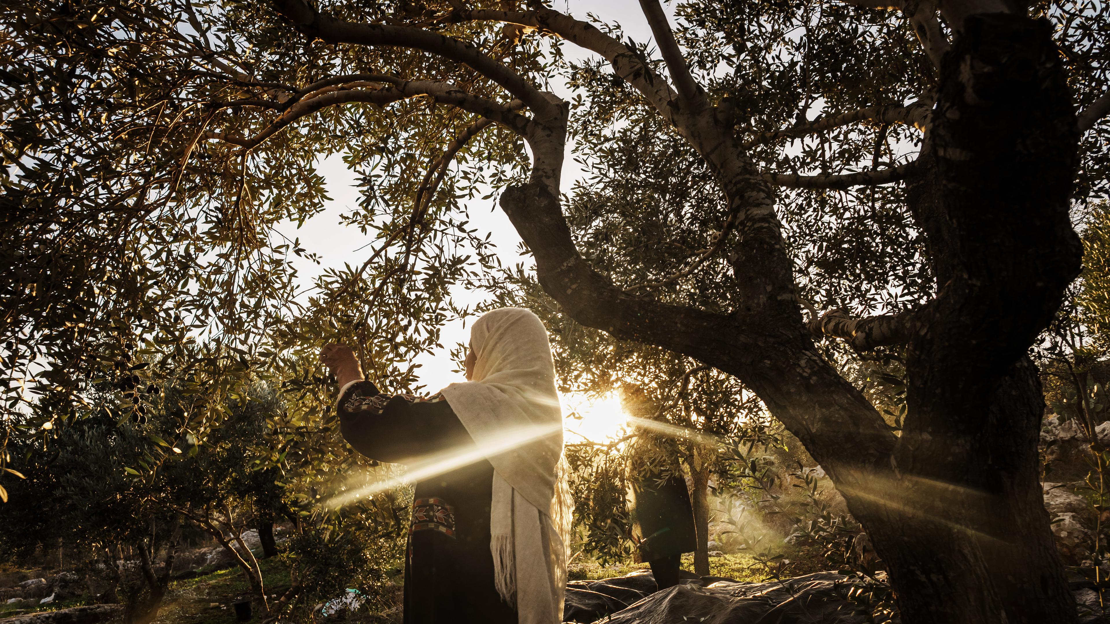 The Unimaginable Trauma—And Resilience—of the People of Gaza