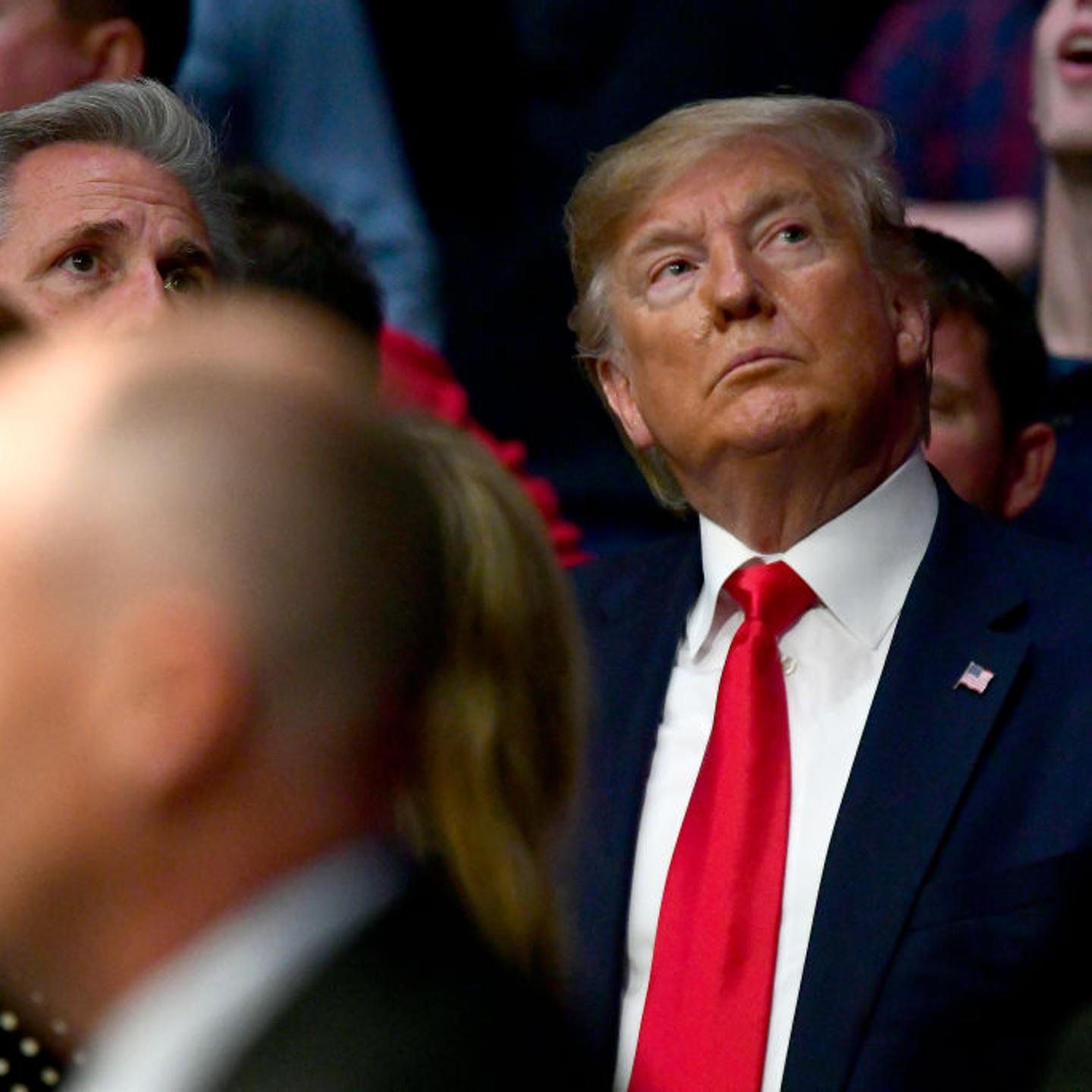 Donald Trump UFC