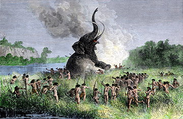 Should You Eat like a Caveman?