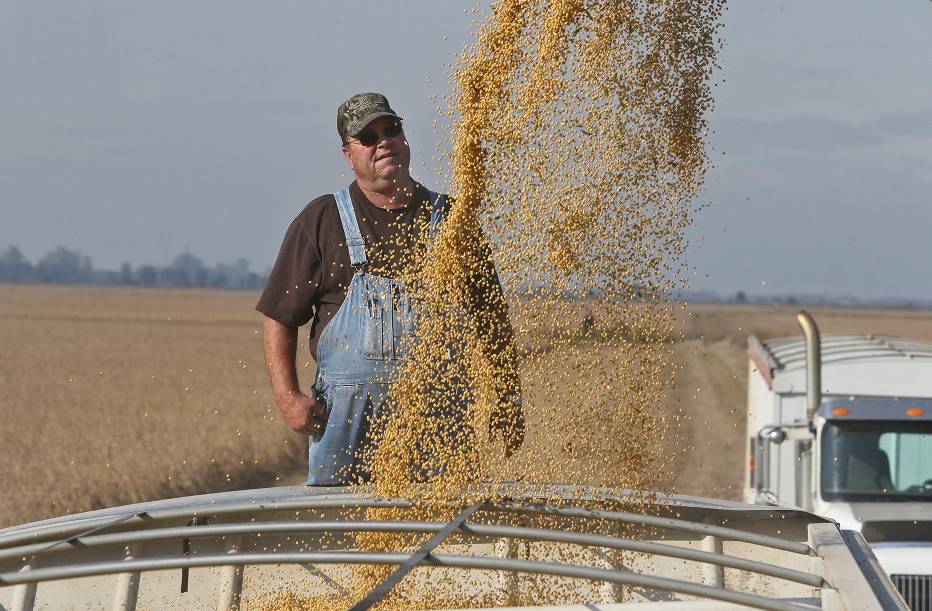 trump soy bean tariff china