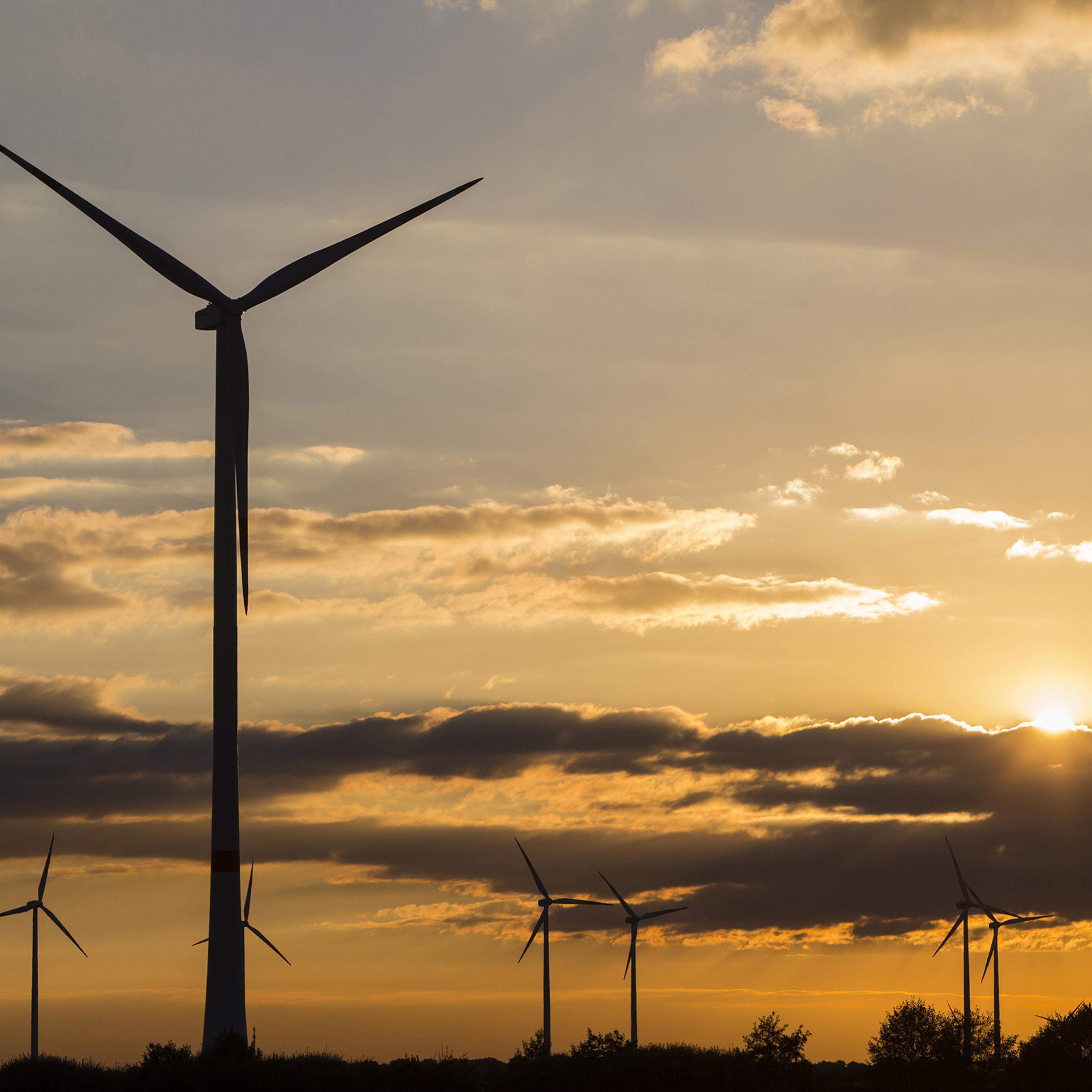 Wind turbines operate on the Innogy SE wind farm as the sunsets in Bedburg, Germany, on Oct. 4, 2016.
