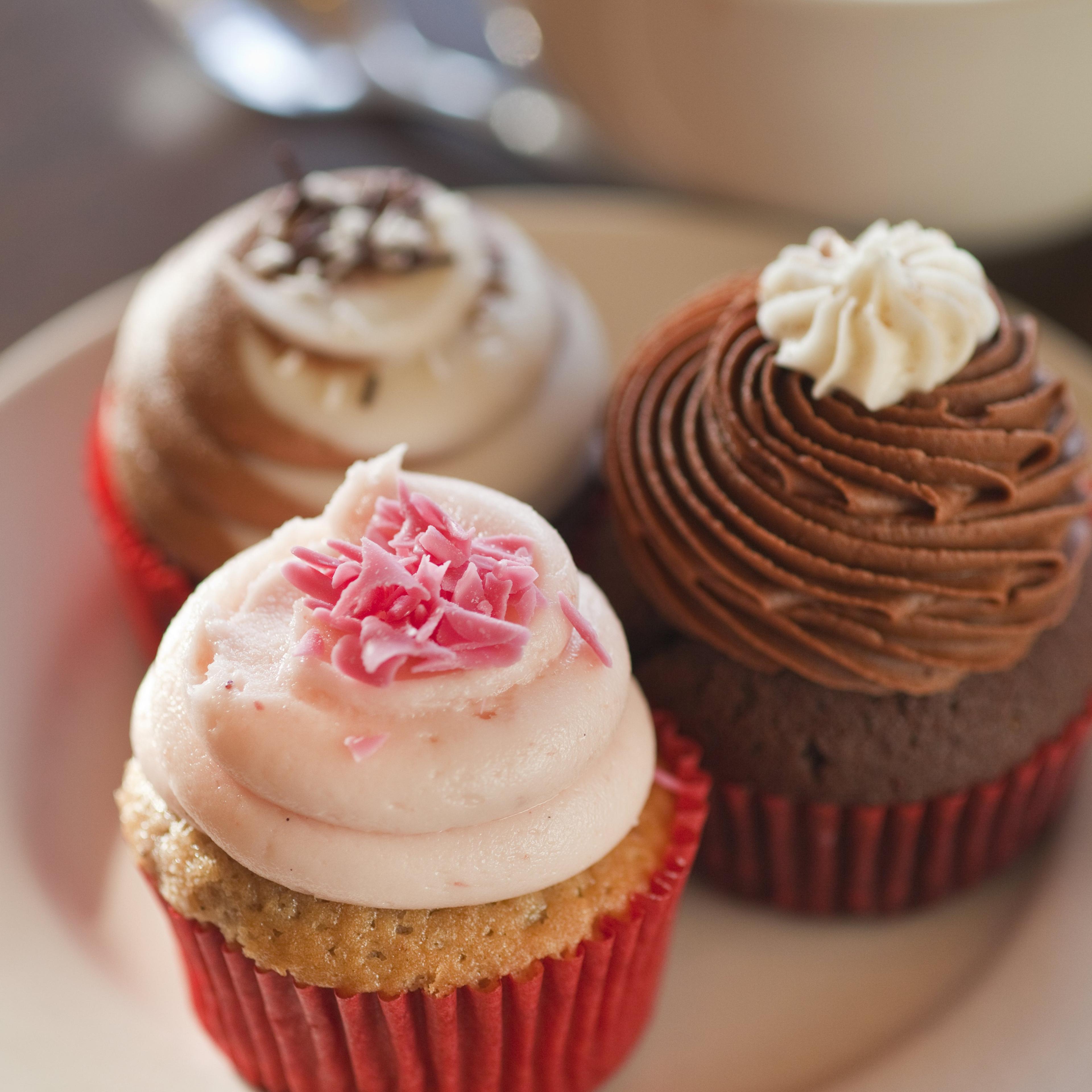 Cupcake choices, Crushcakes Cupcakery and Cafe, Santa Barbara, California