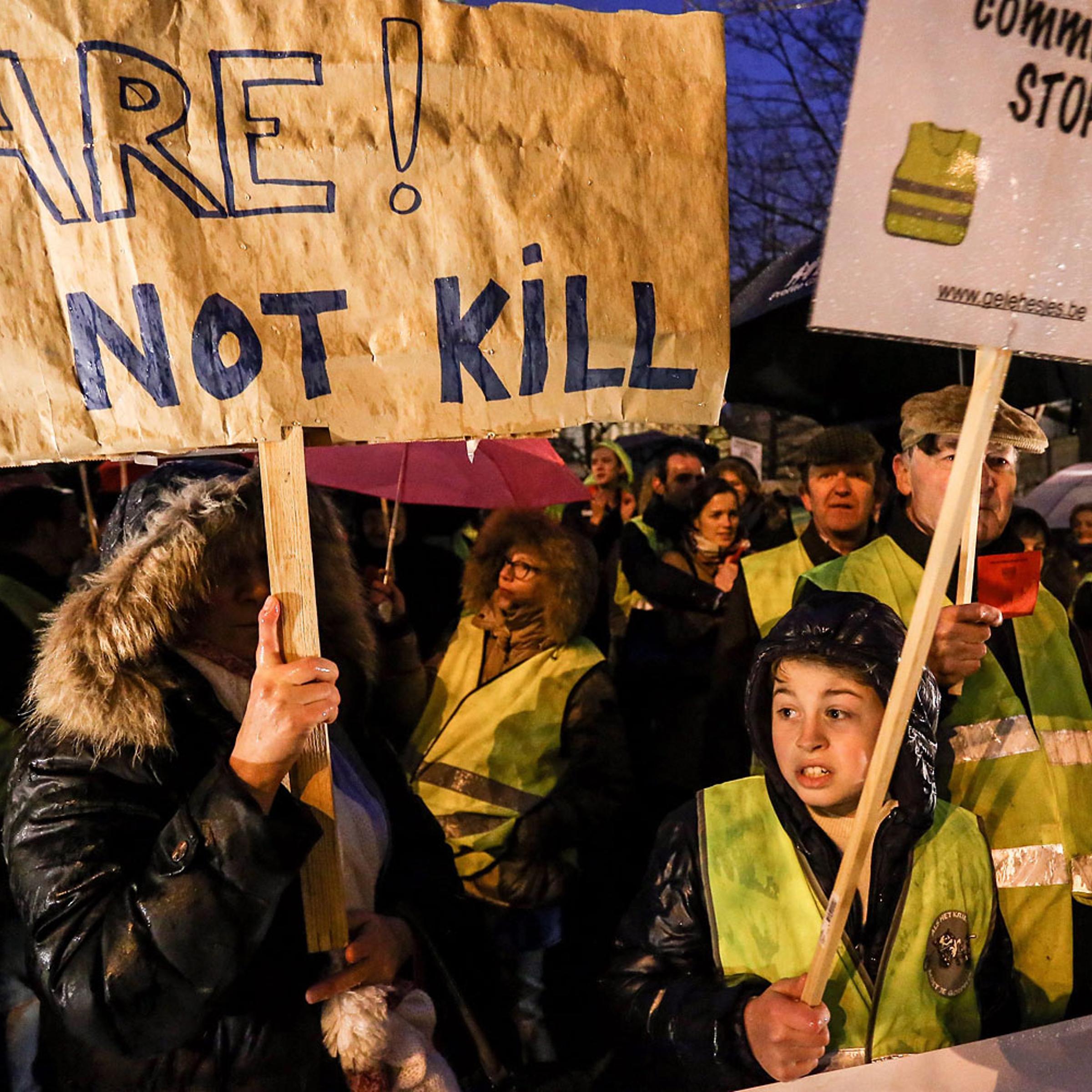 Activists of the collective Yellow Safety Jacket protest against the proposed statutory amendment legalizing the euthanasia of young children, in Brussels, Feb. 11, 2014.