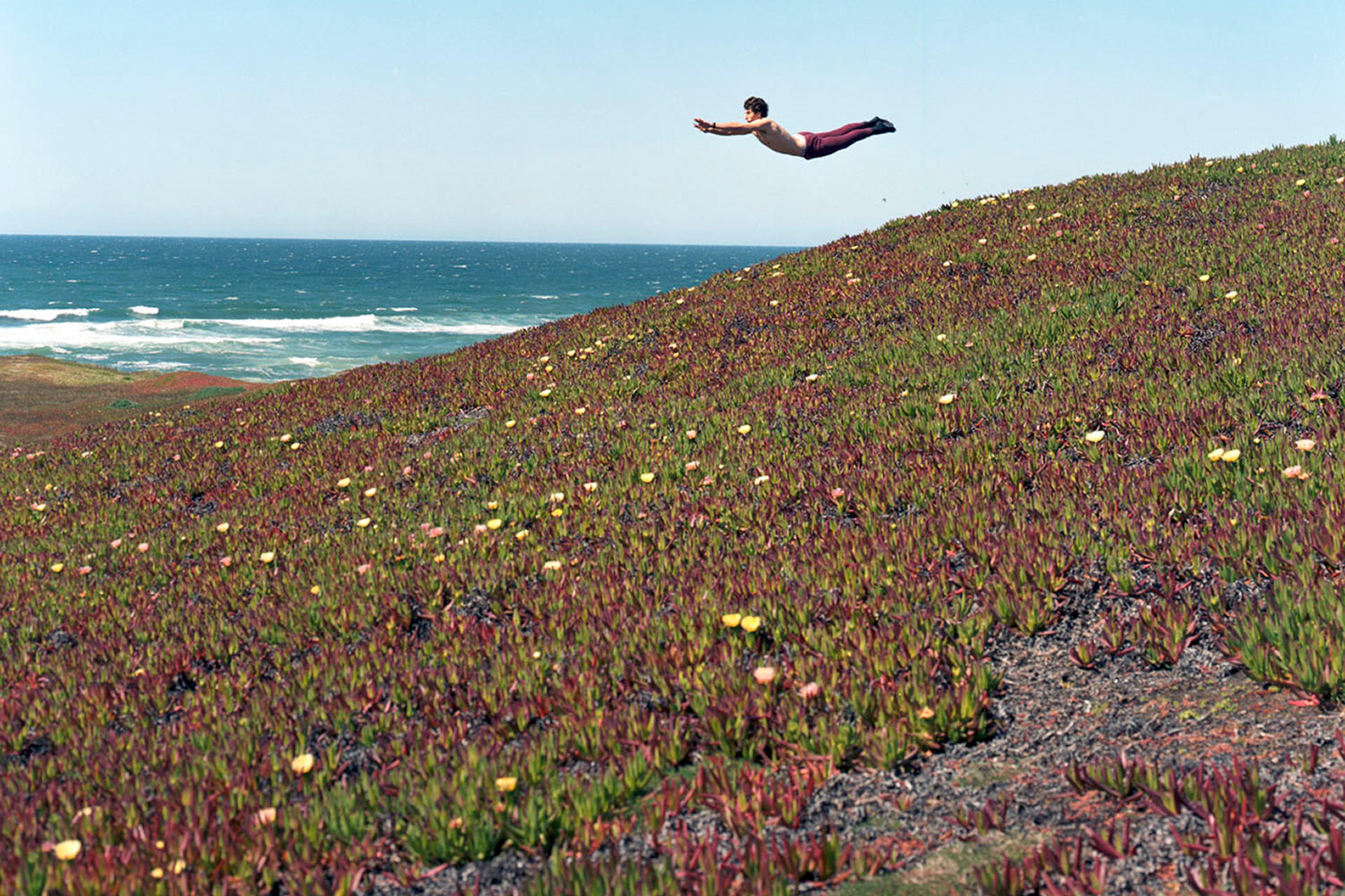 No Title (Flying Picture), 2003