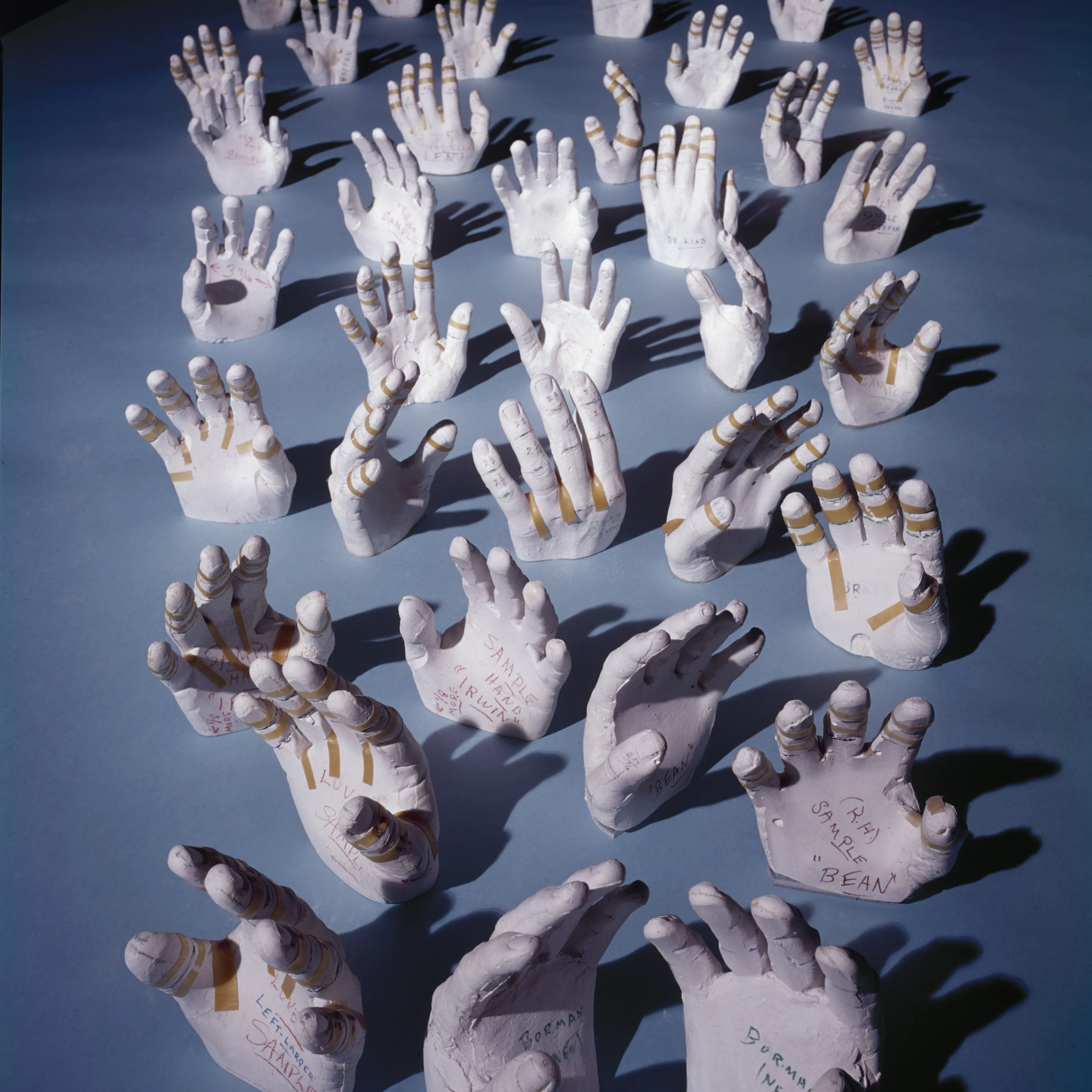 Like pale sea anemones, plaster casts of the hands of NASA astronauts -- made so that their space suits can be custom-fit for each individual -- seem to wave at nothing in Houston, Texas, in 1968.