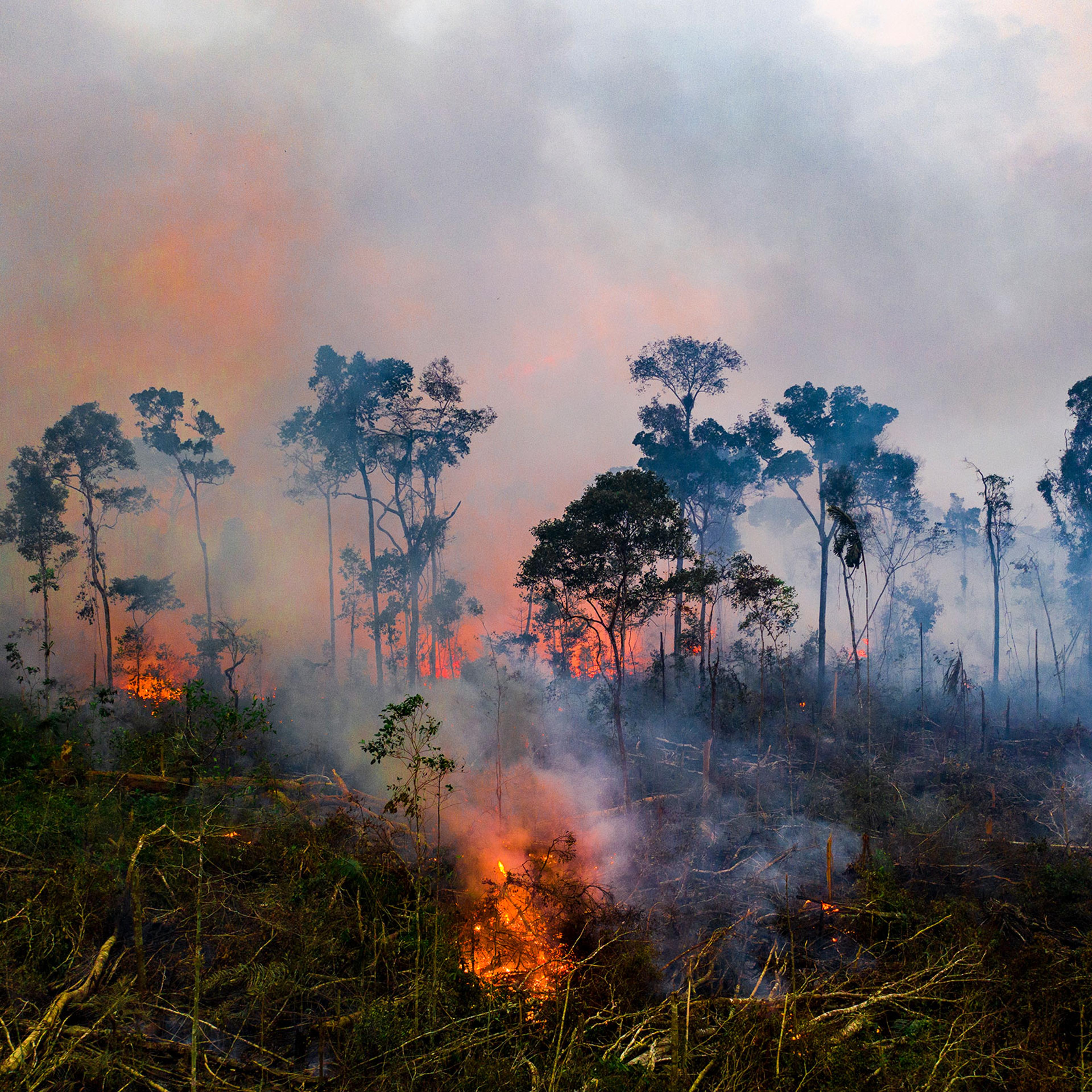A fire near the Jacundá National Forest in Brazil’s Amazon in August