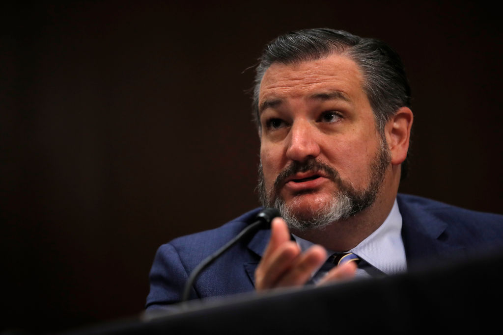 ted-cruz-face-mask-american-airlines