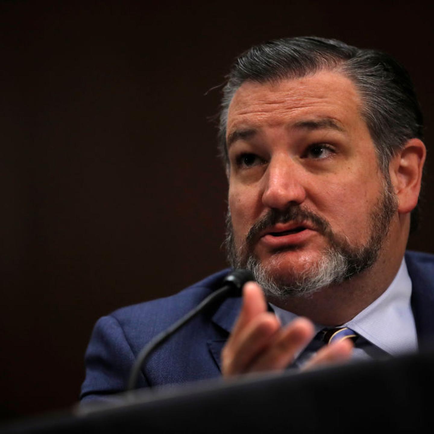 ted-cruz-face-mask-american-airlines