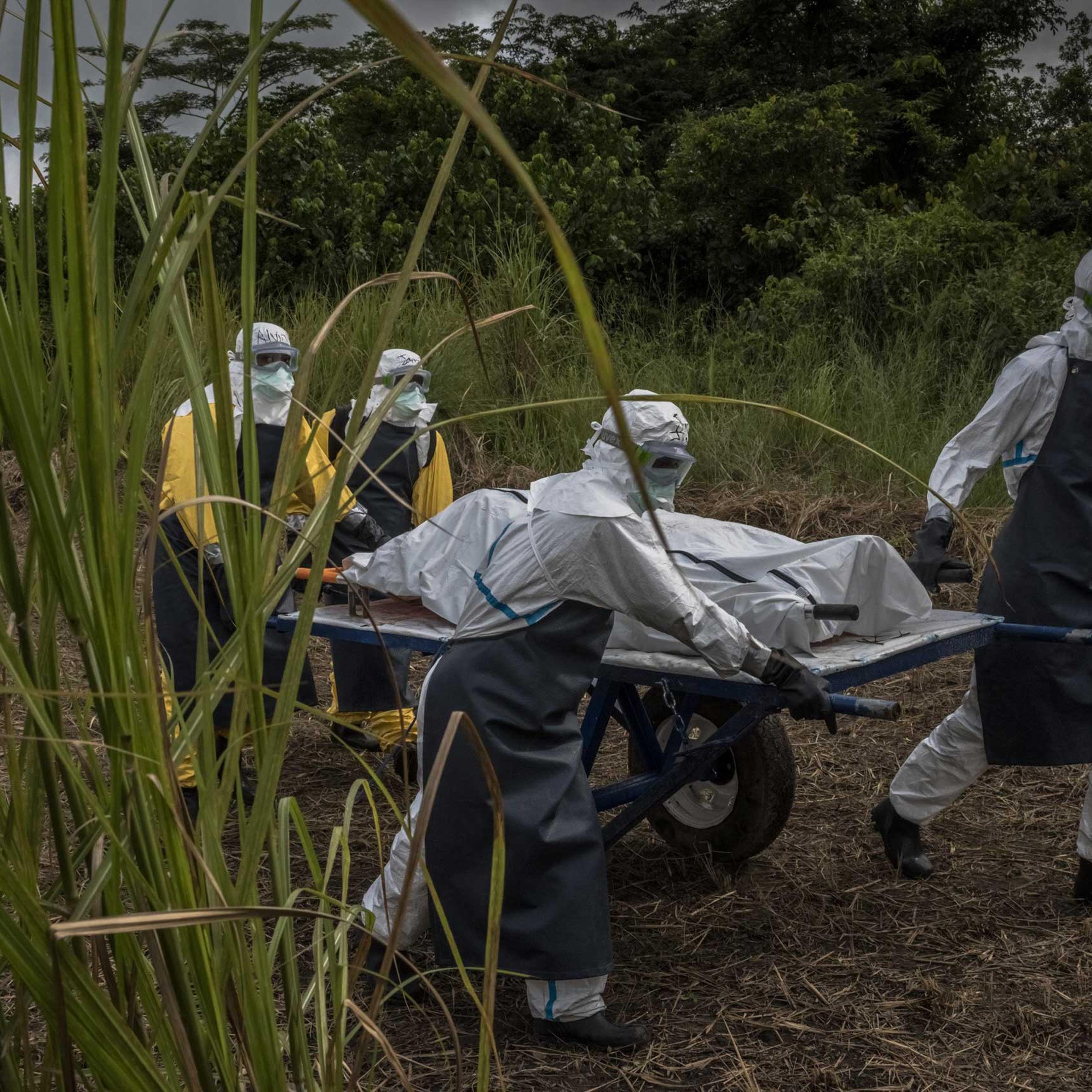 A team transports a corpse for burial near an Ebola treatment center in Suakoko, Liberia, Oct. 5, 2014.