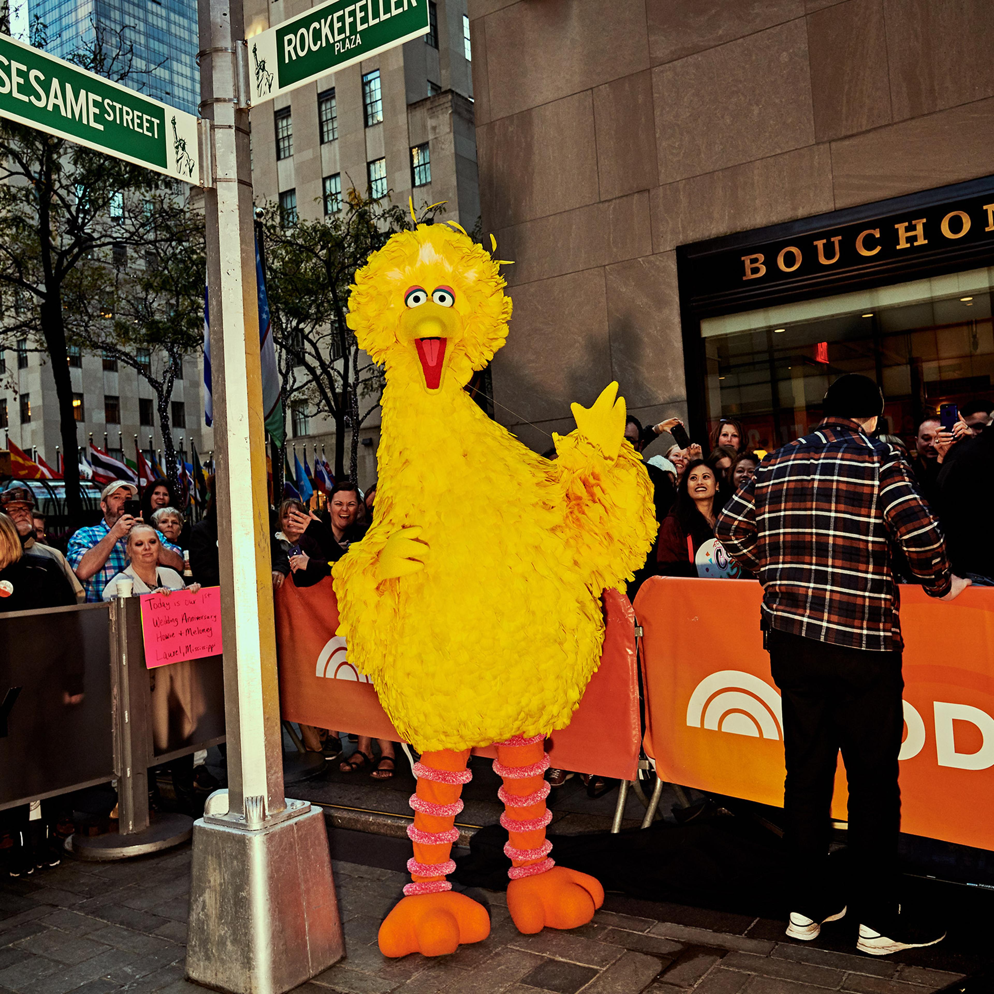 Big Bird Sesame Street
