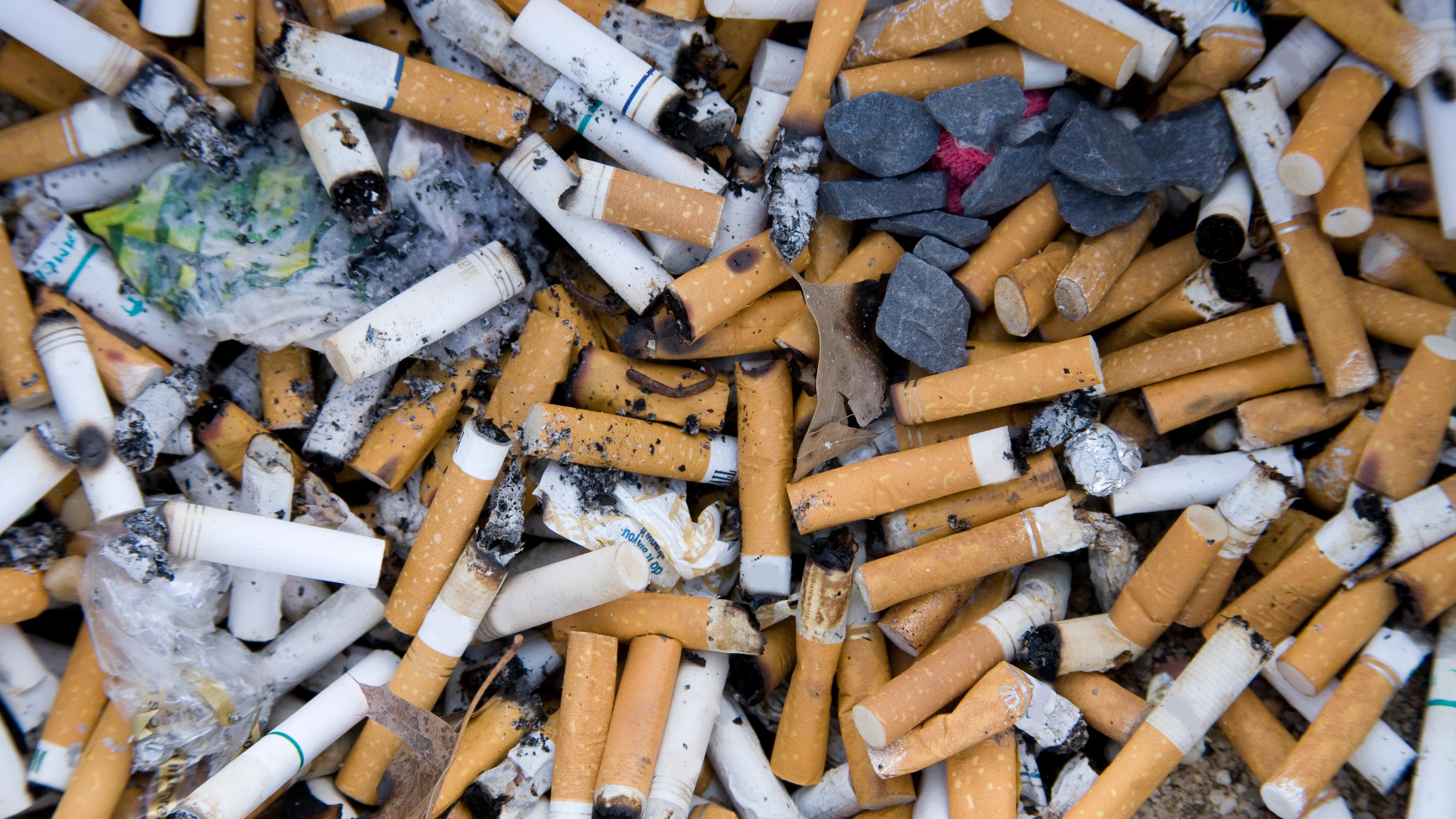 do prop cigarettes harm your lungs Graphic Images on of Smoking's Are Constitutional, Court Rules Donor Smoking or Substance Use