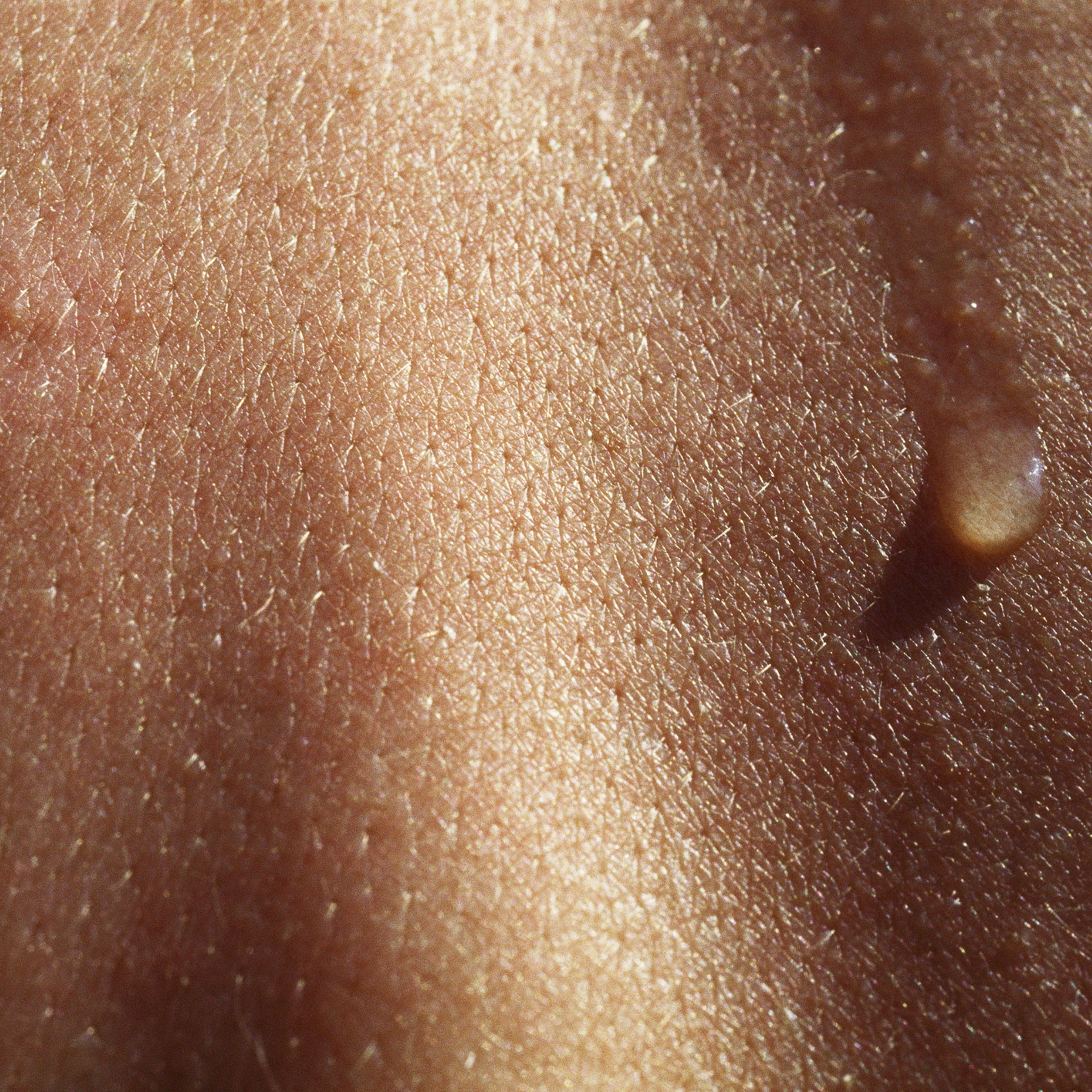 Perspiration on skin, extreme close-up