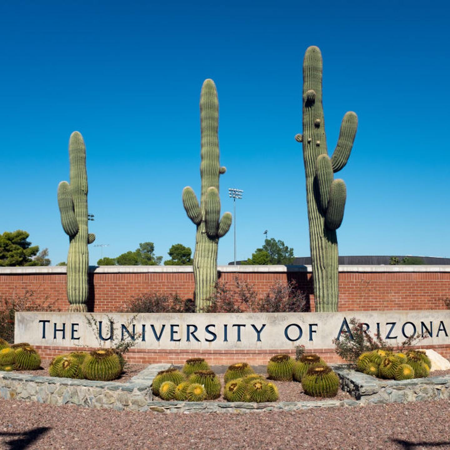 University Of Arizona