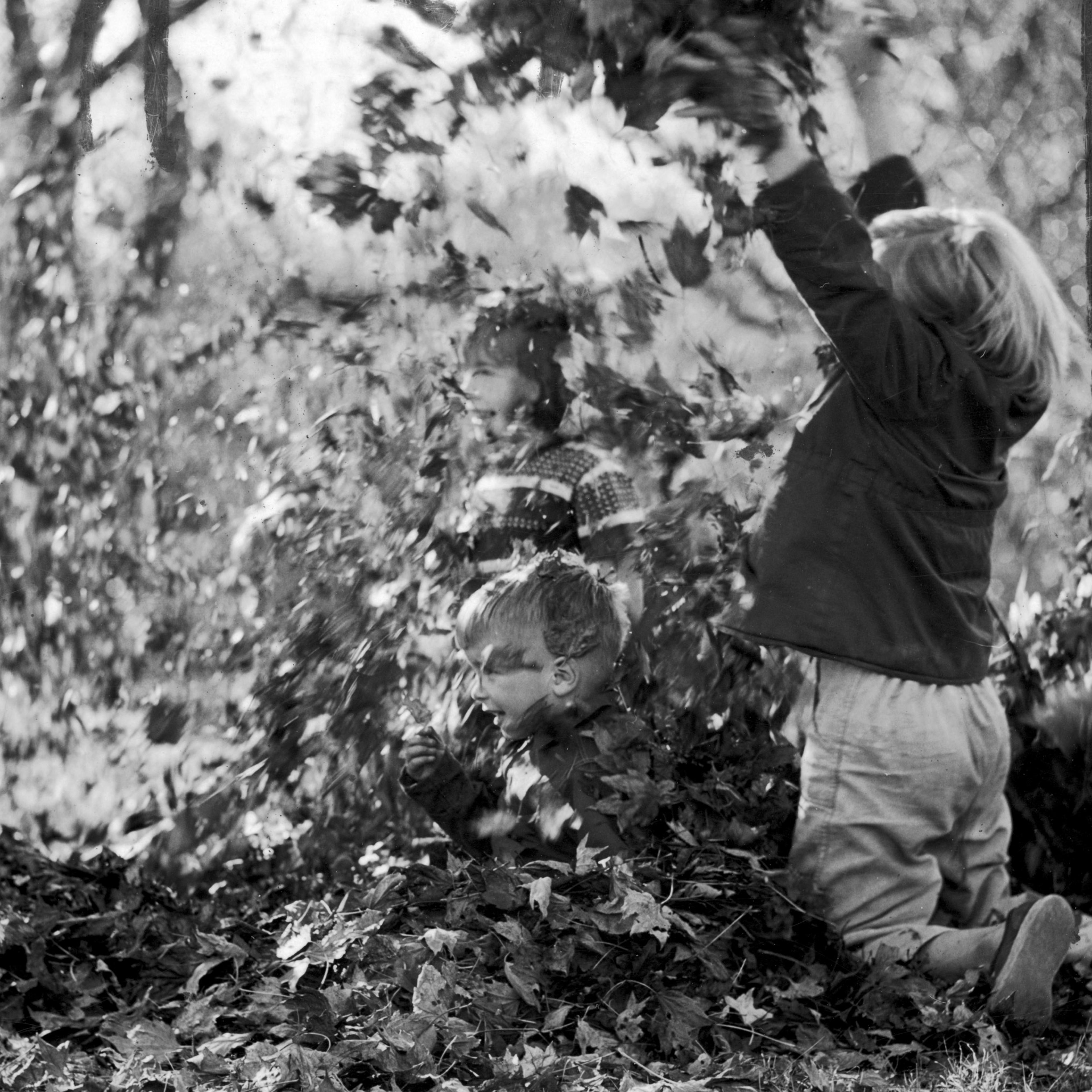 A disintegrating crown of leaves is about to be dumped by Vicky Blickman on unsuspecting Paul Bassett.