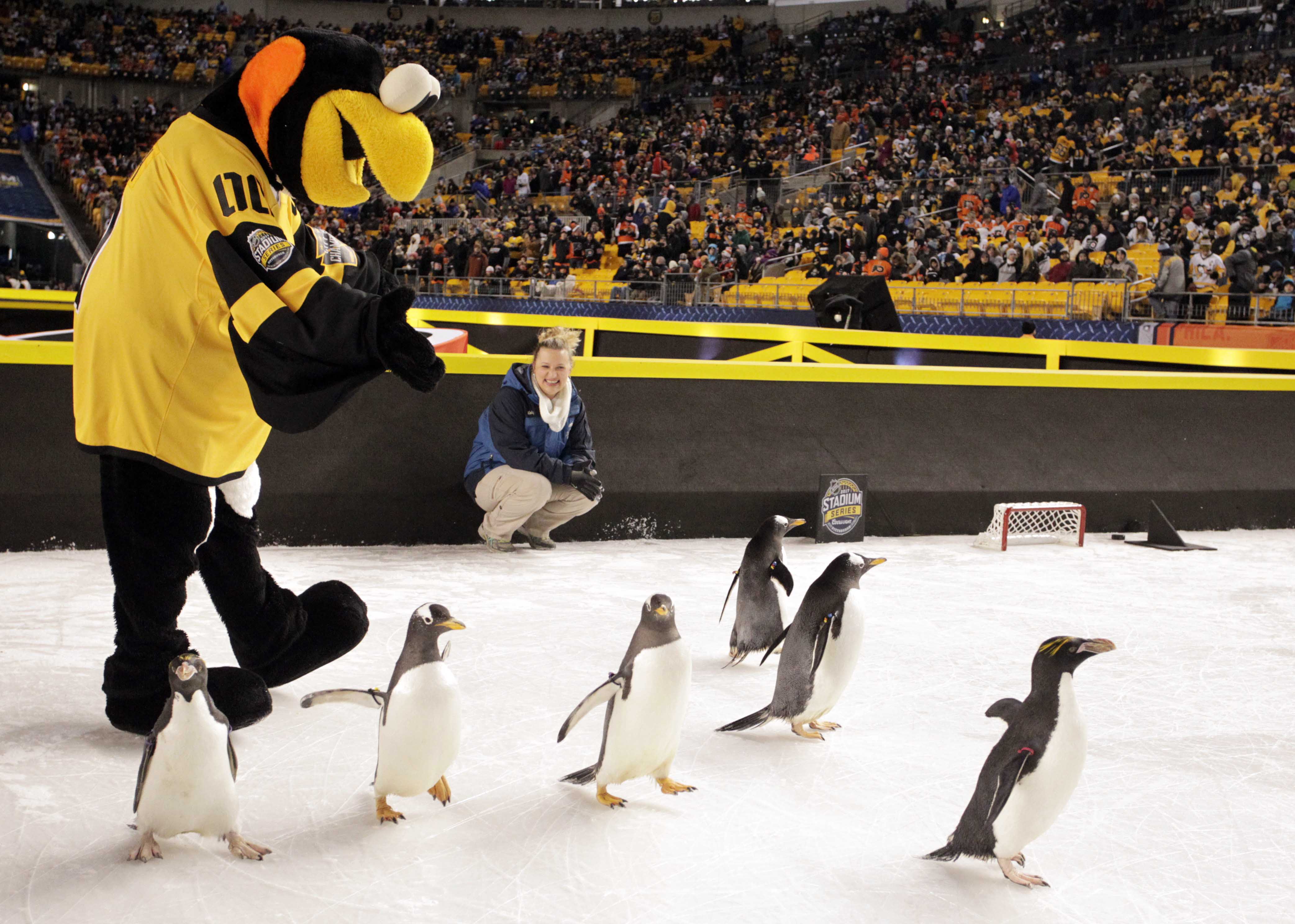 NHL: Stadium Series-Philadelphia Flyers at Pittsburgh Penguins