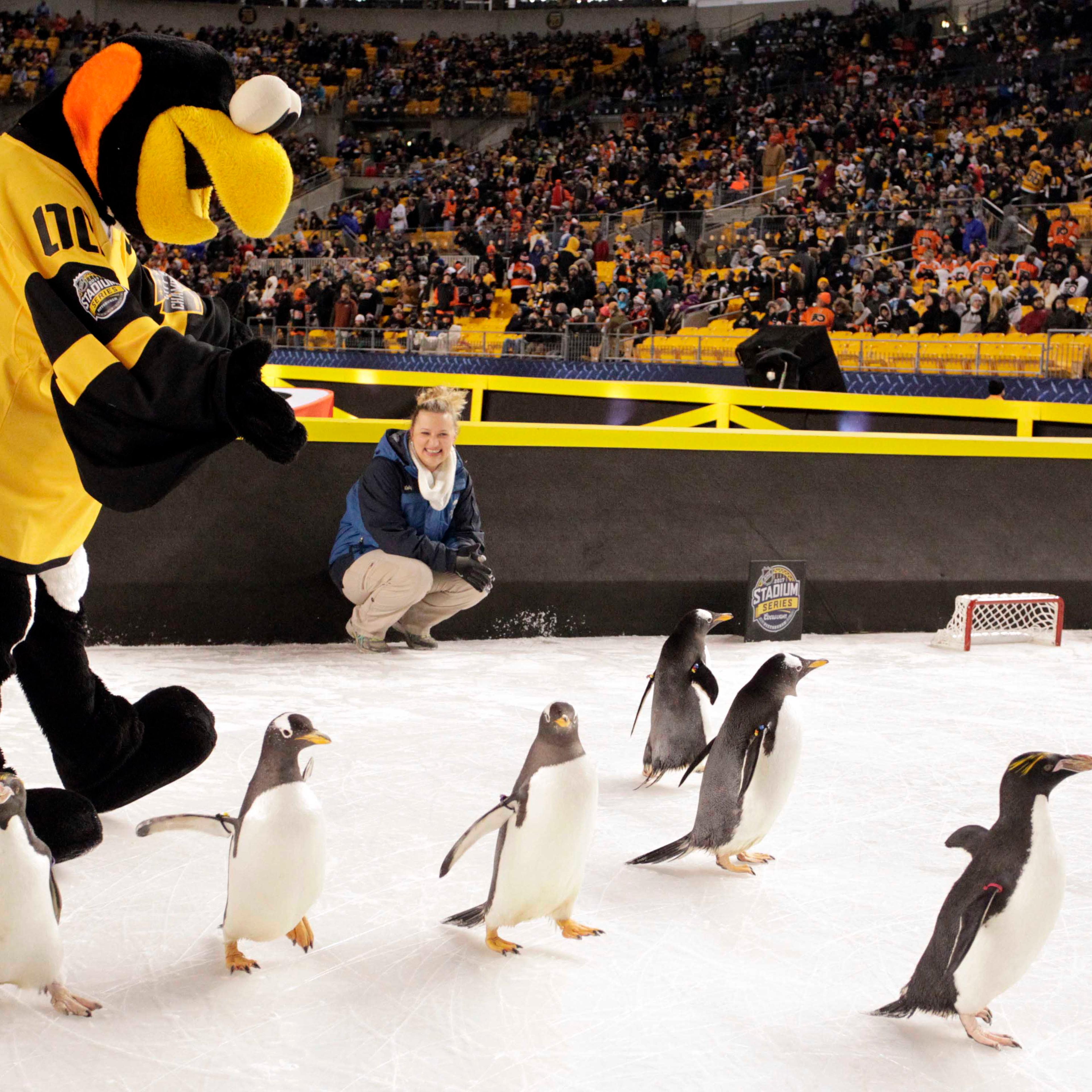 NHL: Stadium Series-Philadelphia Flyers at Pittsburgh Penguins