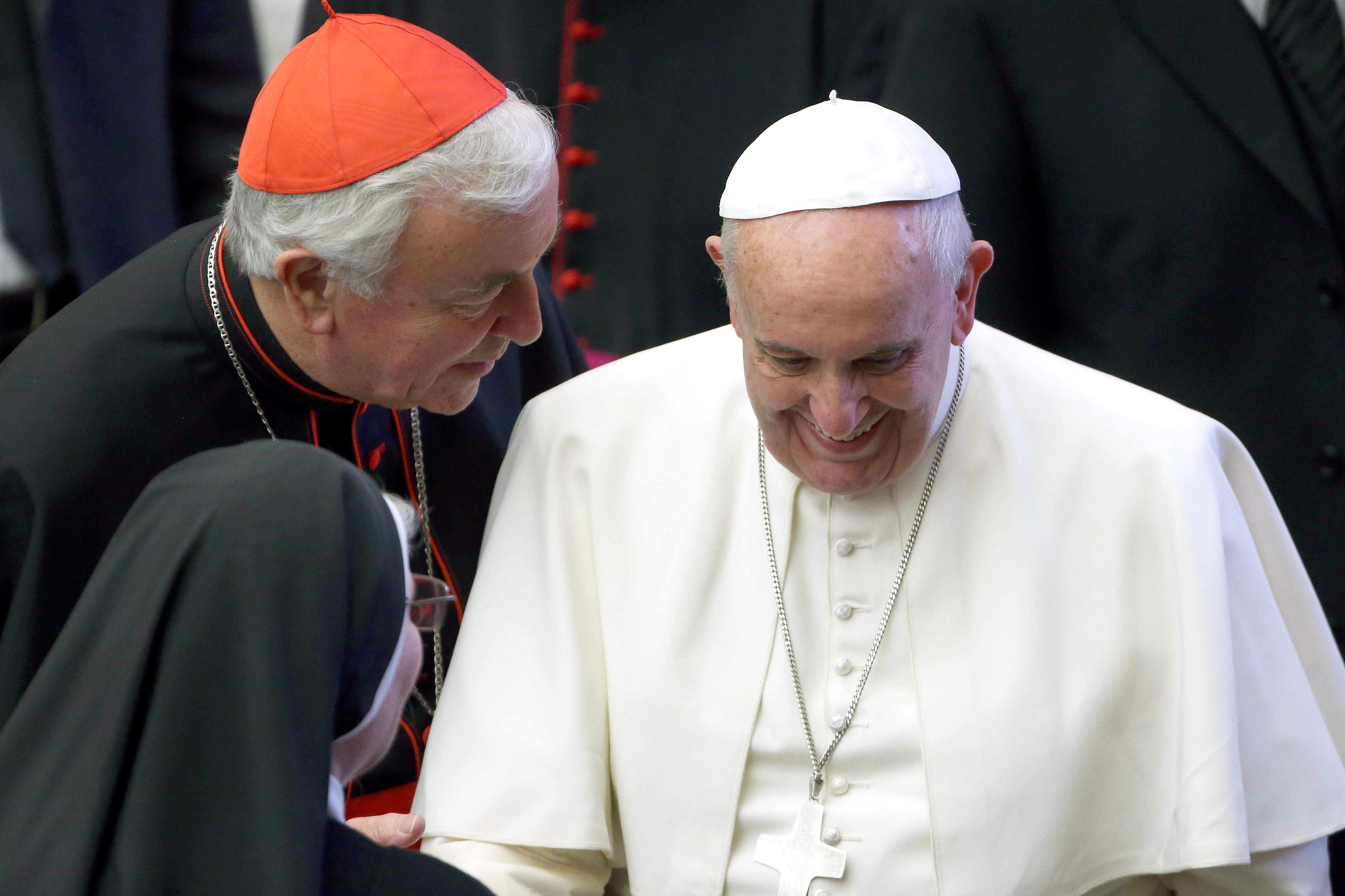 Pope Attends His Weekly Audience