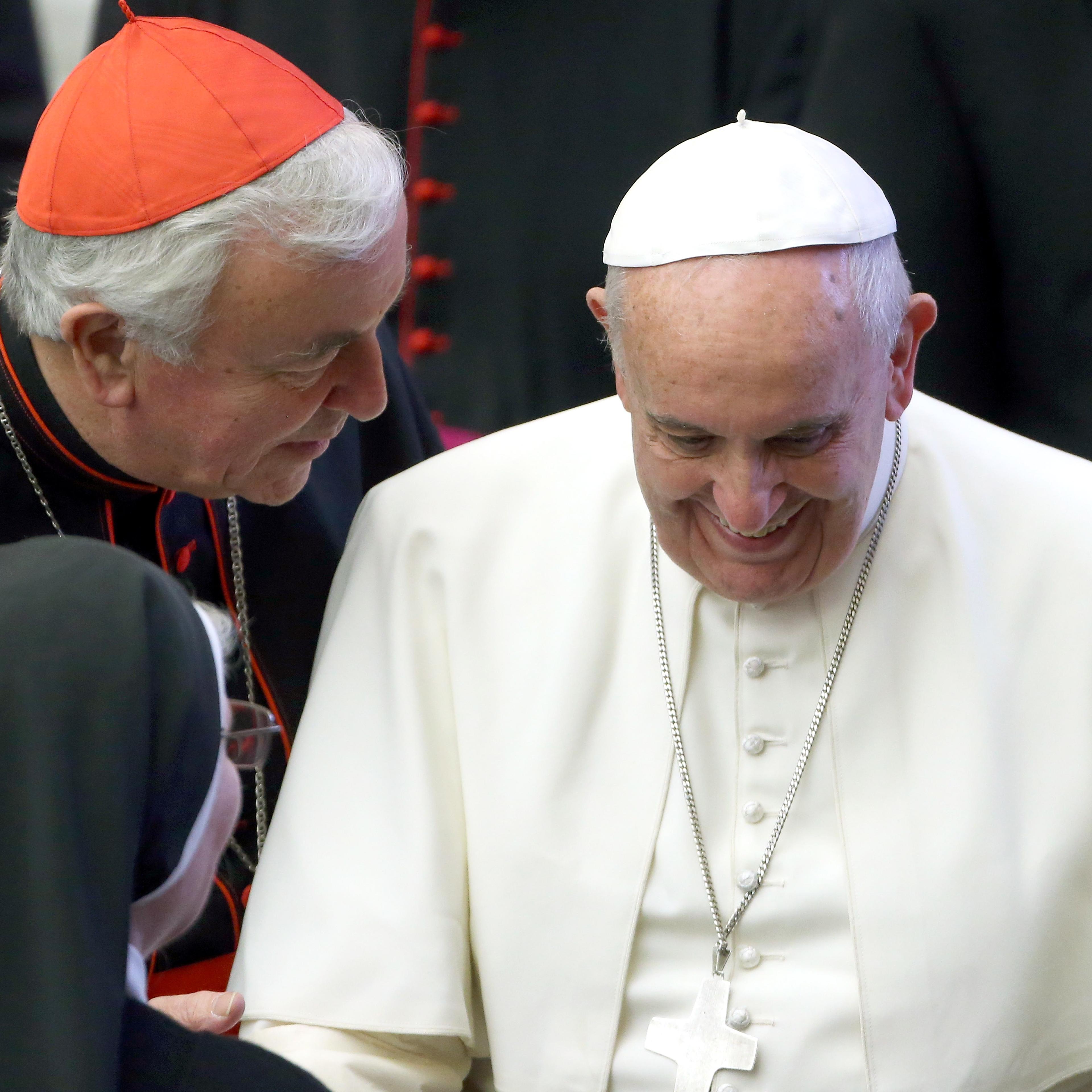 Pope Attends His Weekly Audience
