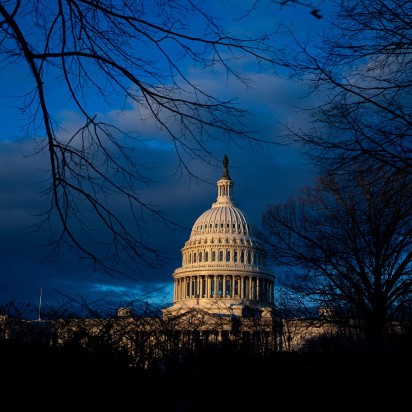 Capitol Dome 119th Congress