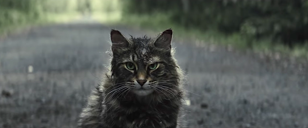 'Pet Sematary' Cat Leo Dies