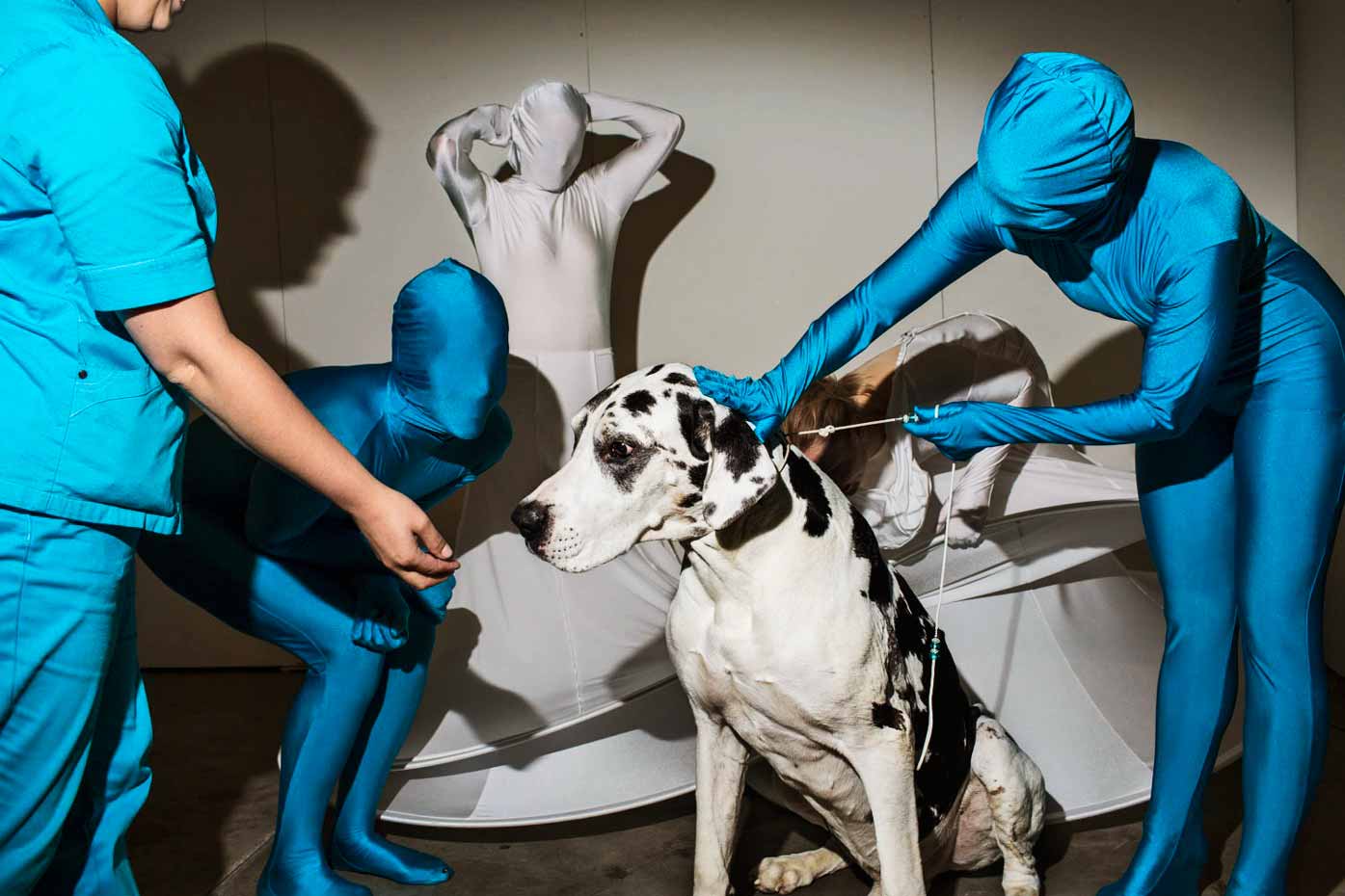 2014 World Dog Show Helsinki