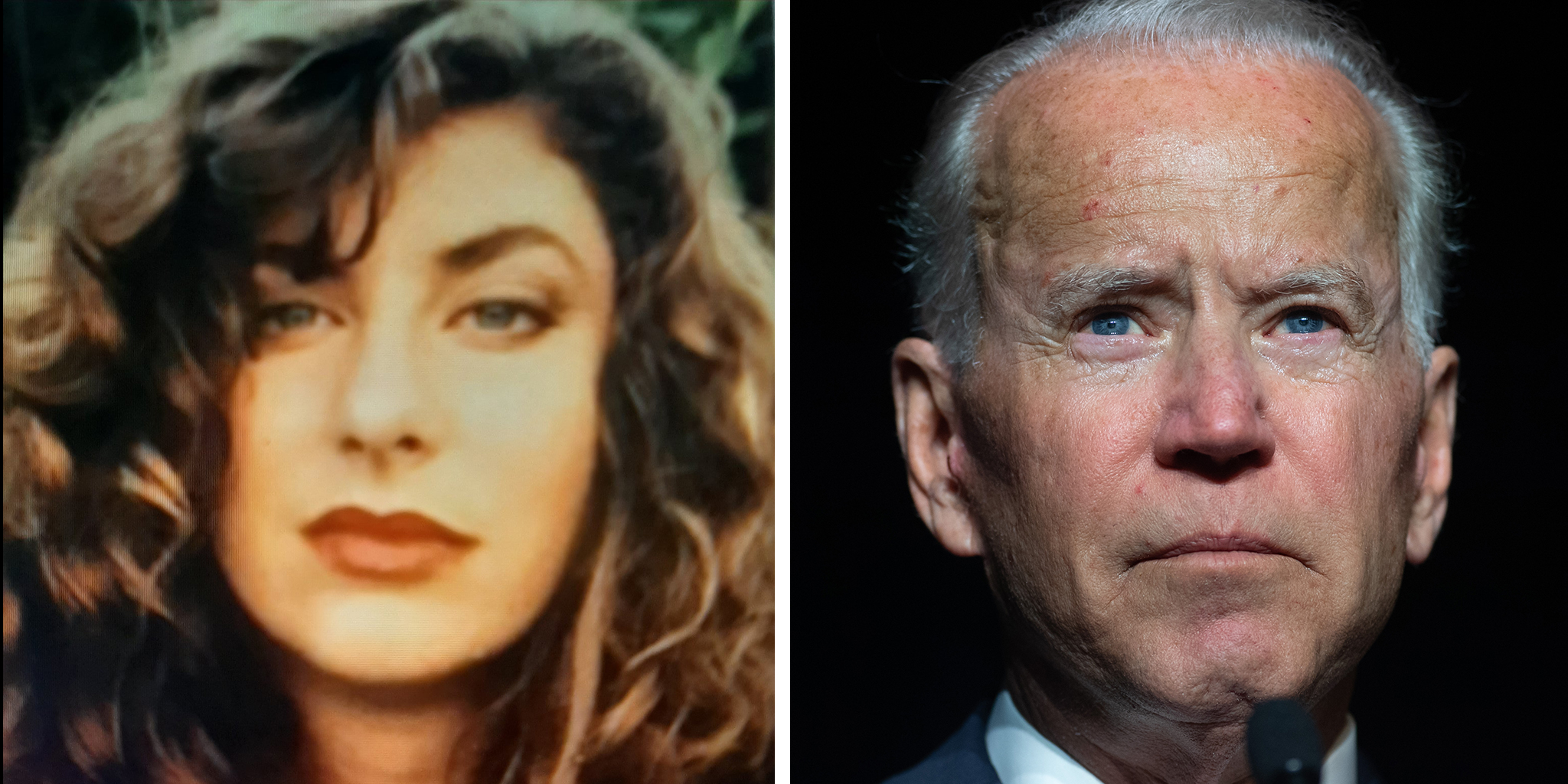 reade-biden-diptych