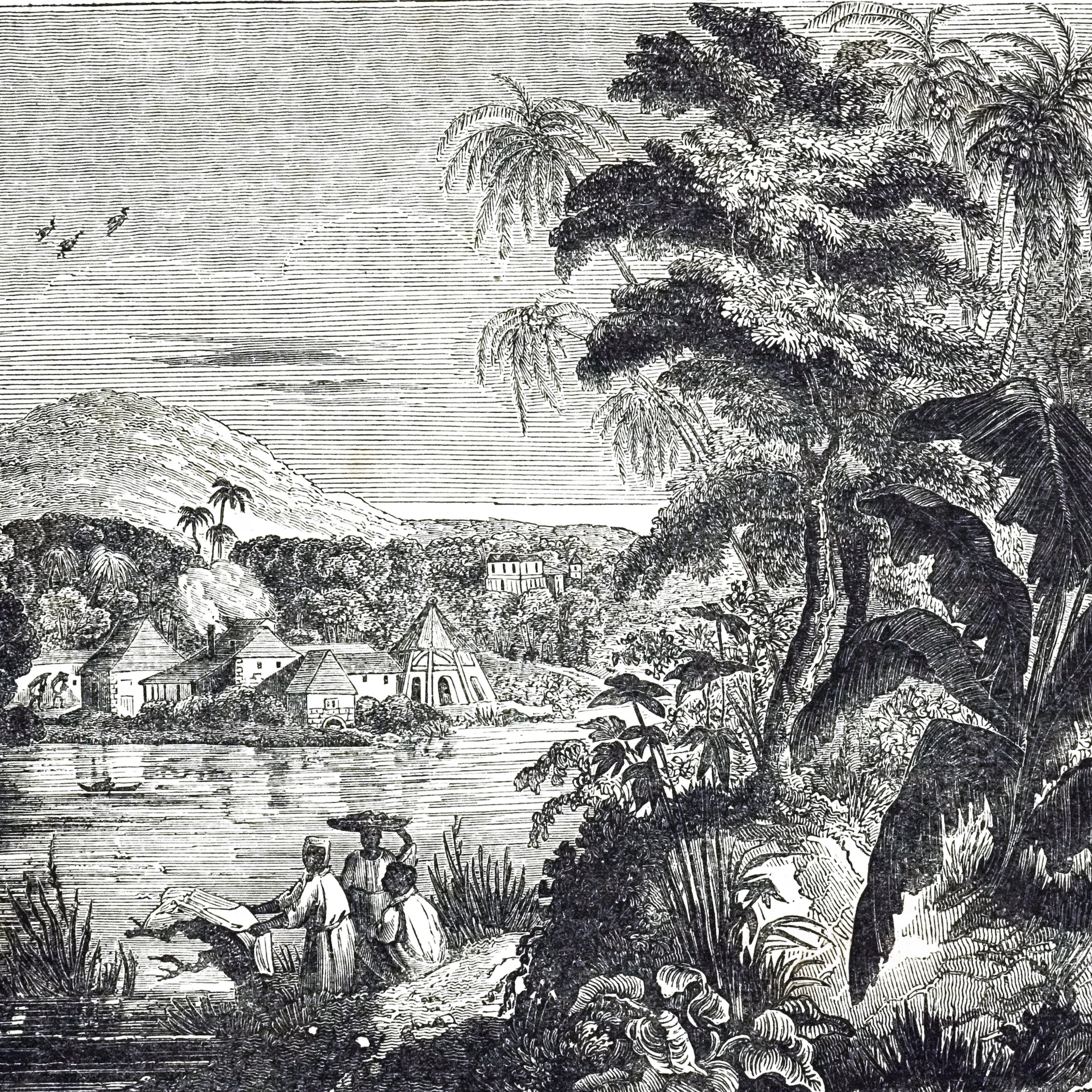 An engraving depicting a Jamaican sugarcane plantation during the sugar boom. African slaves harvested the sugar cane for their British owners. Dated 19th century