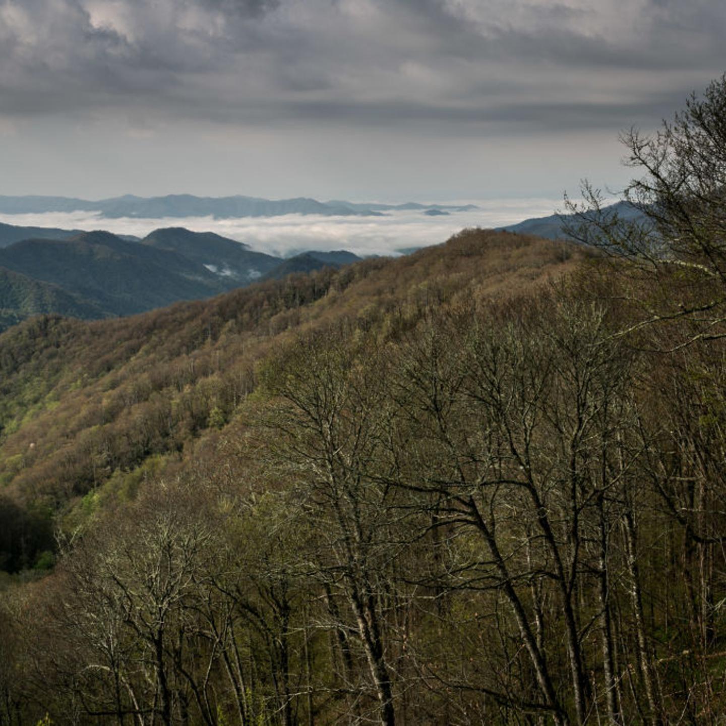 Exploring Great Smoky Mountains National Park