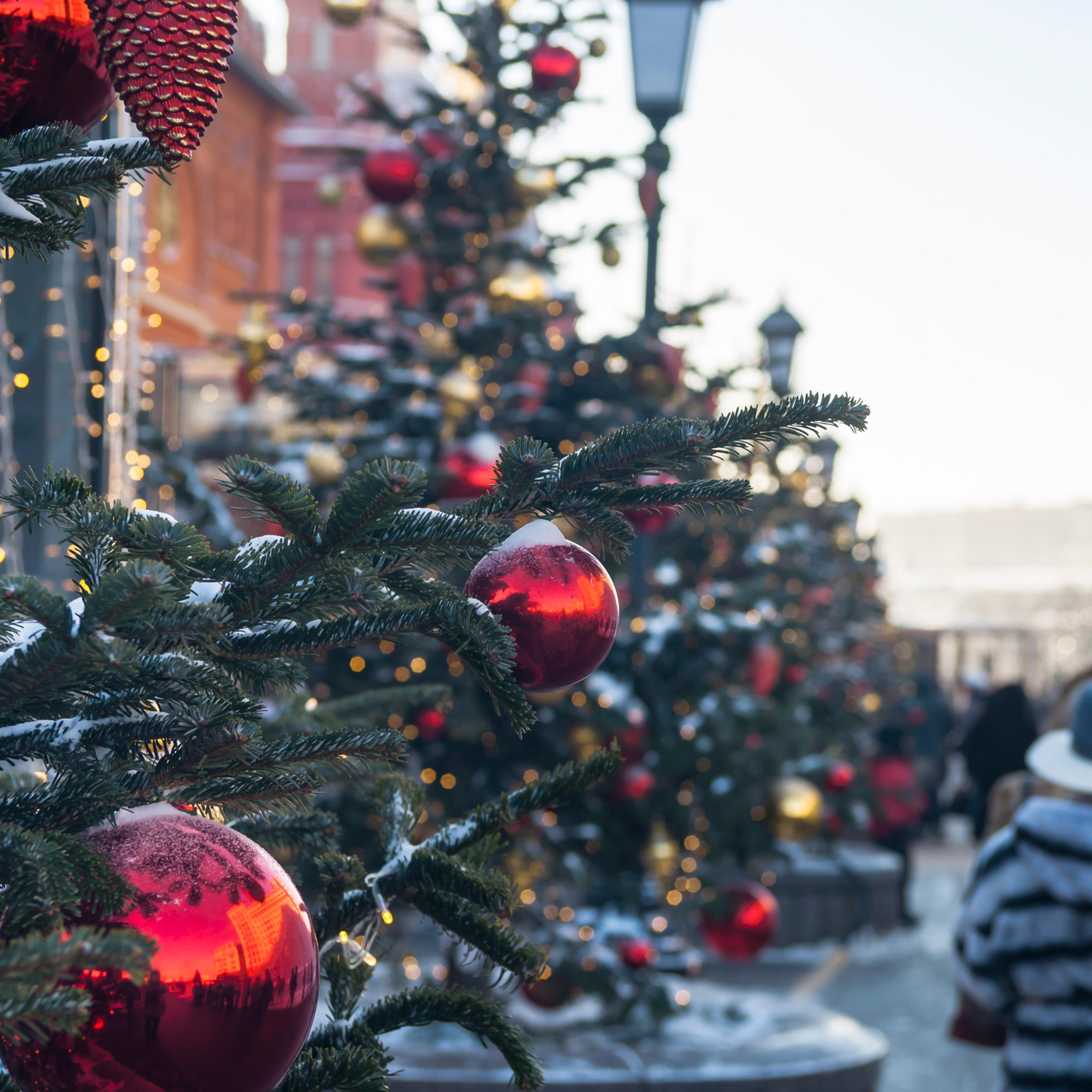 Row of decorated Christmas trees on the Red Square