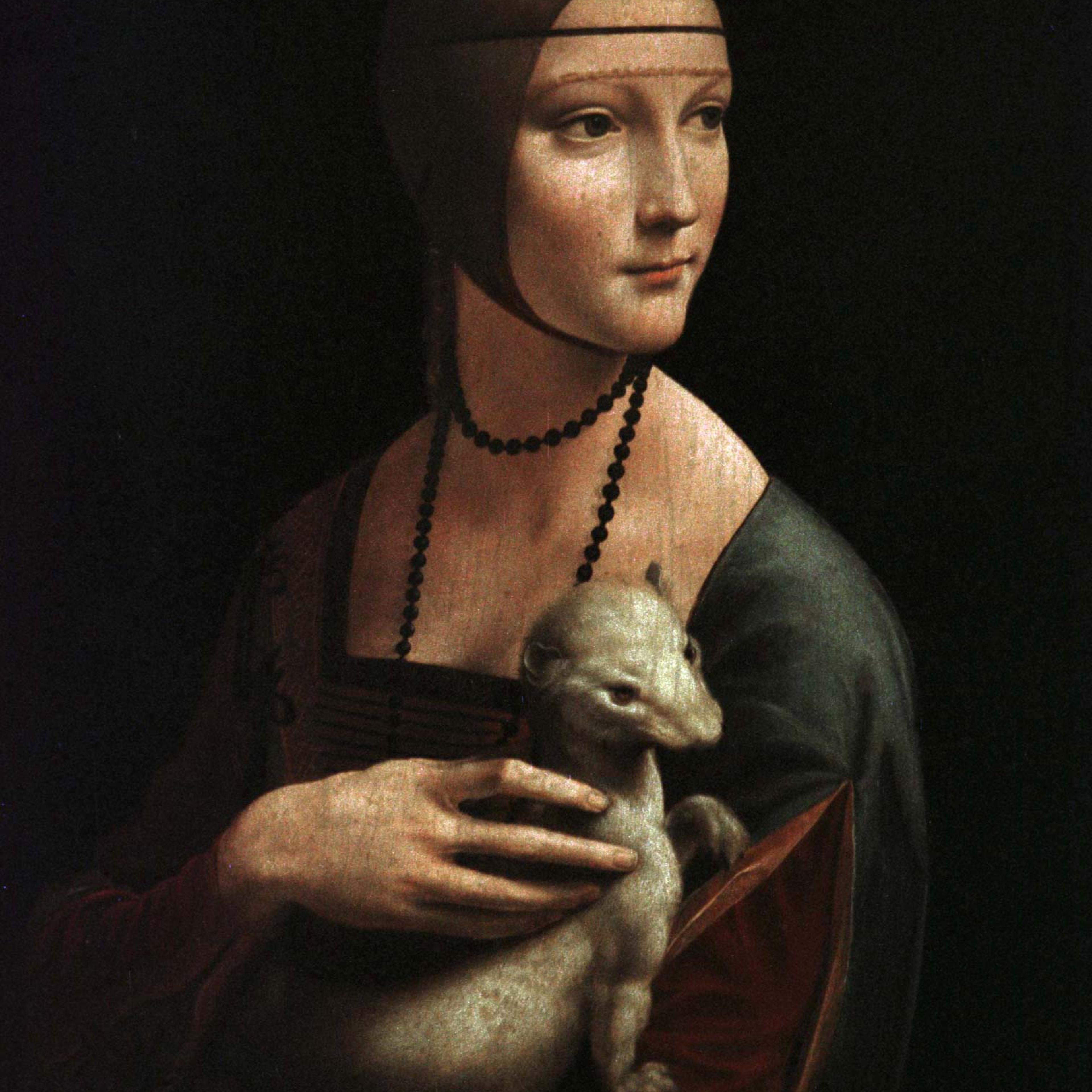 The painting by Leonardo Da Vinci called "The Lady with Ermine", that goes on exhibit later this mo..