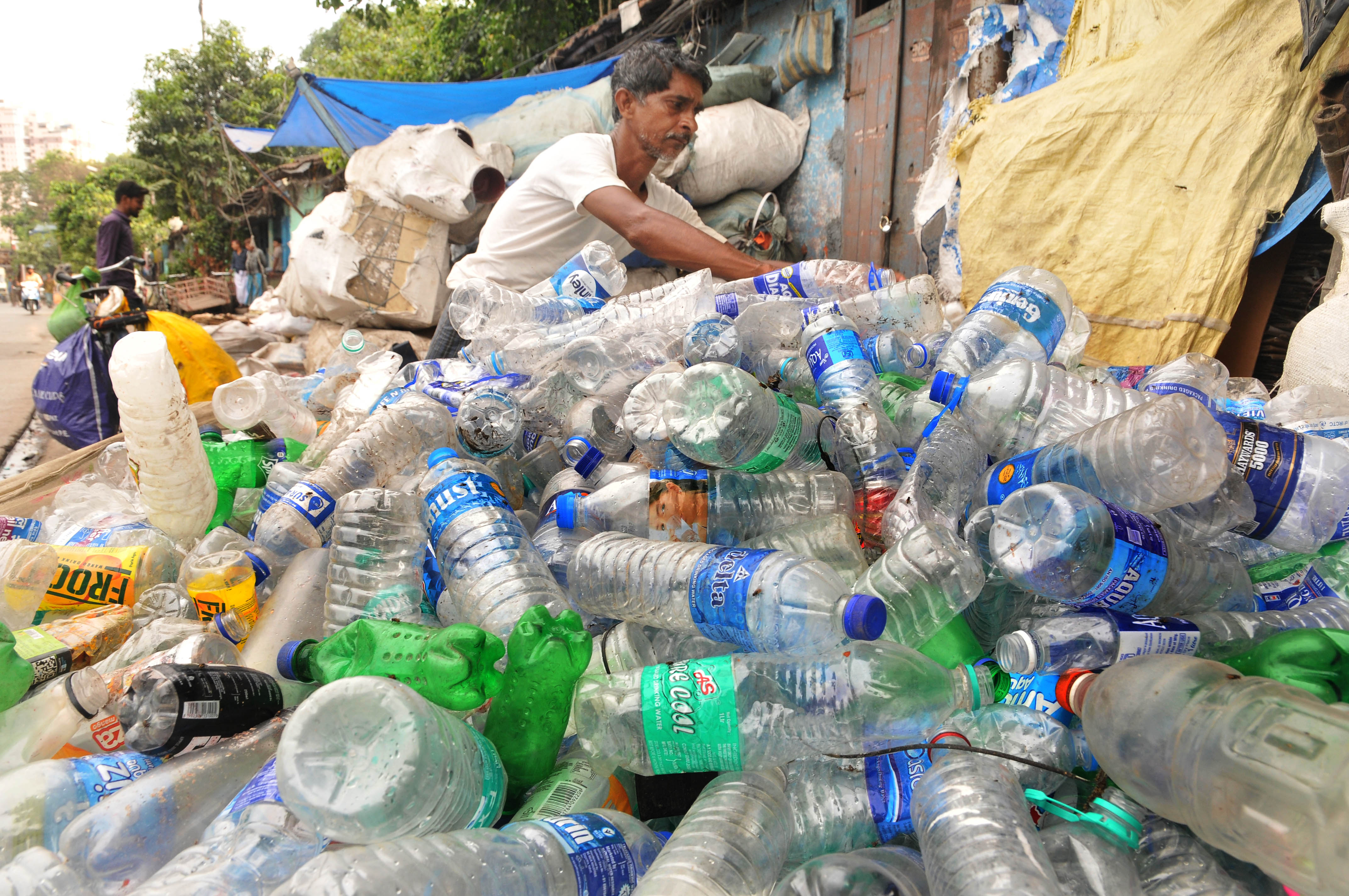 World Environment Day In India