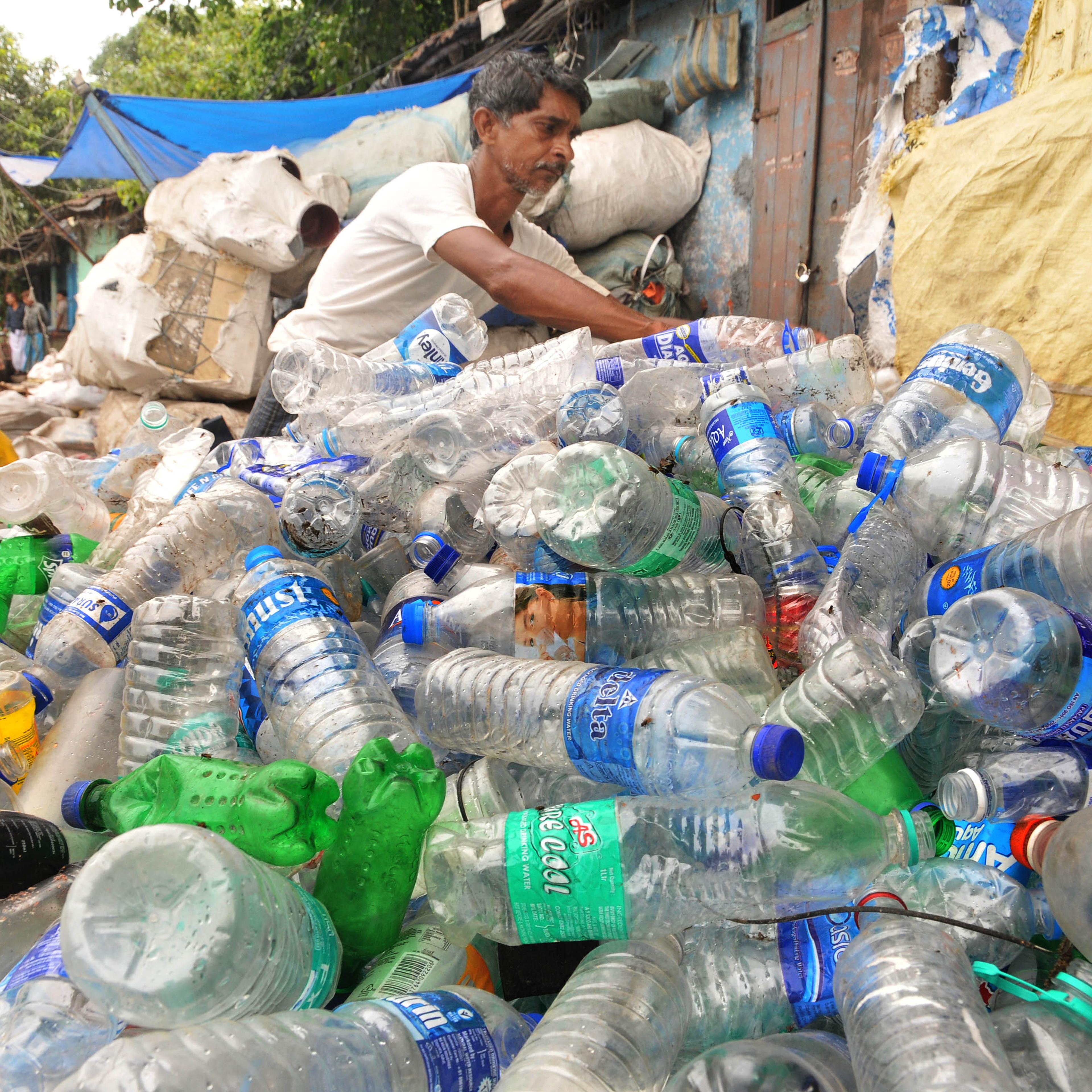 World Environment Day In India