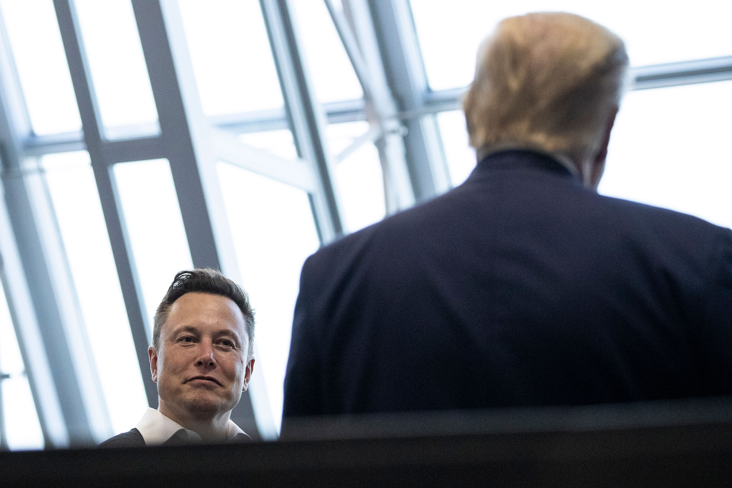 Donald Trump,Elon Musk