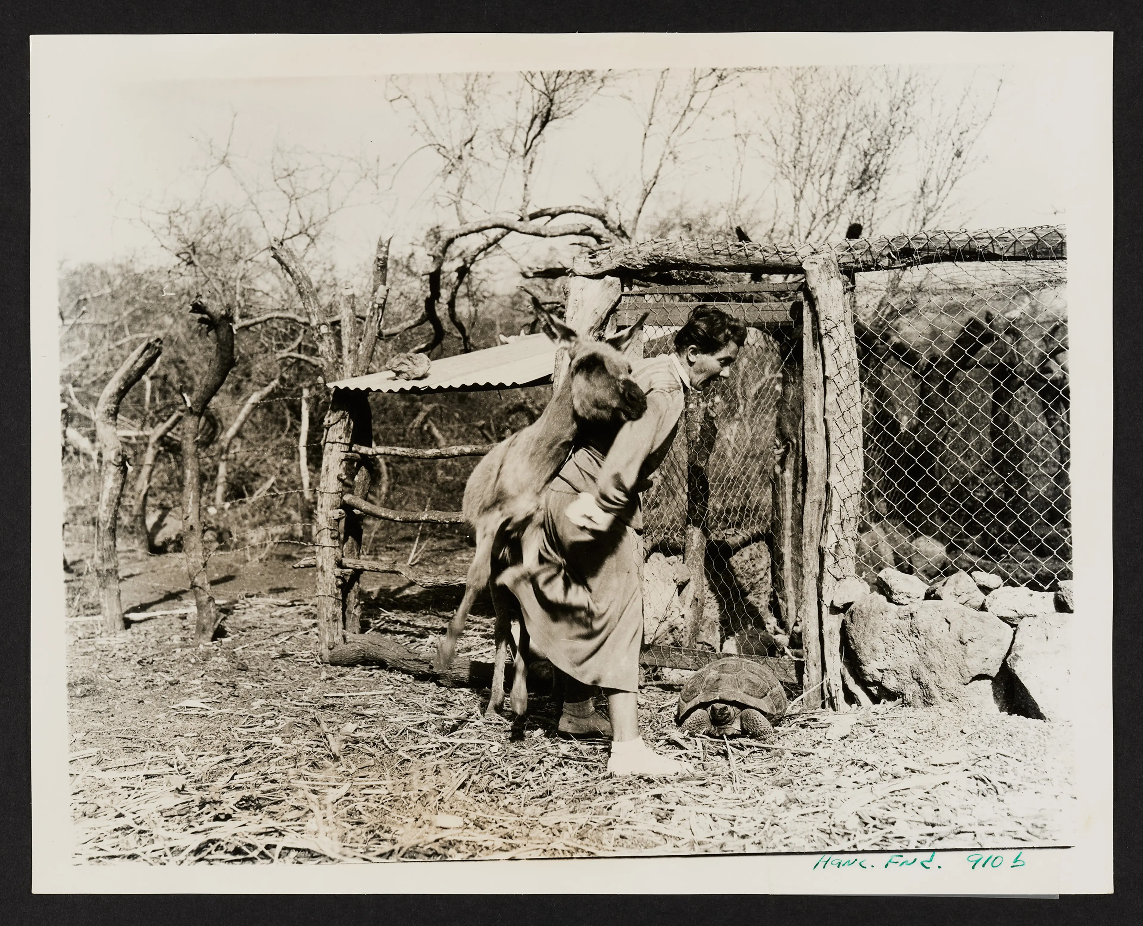 Dore Strauch and her pet donkey on the Galapagos island of Floreana