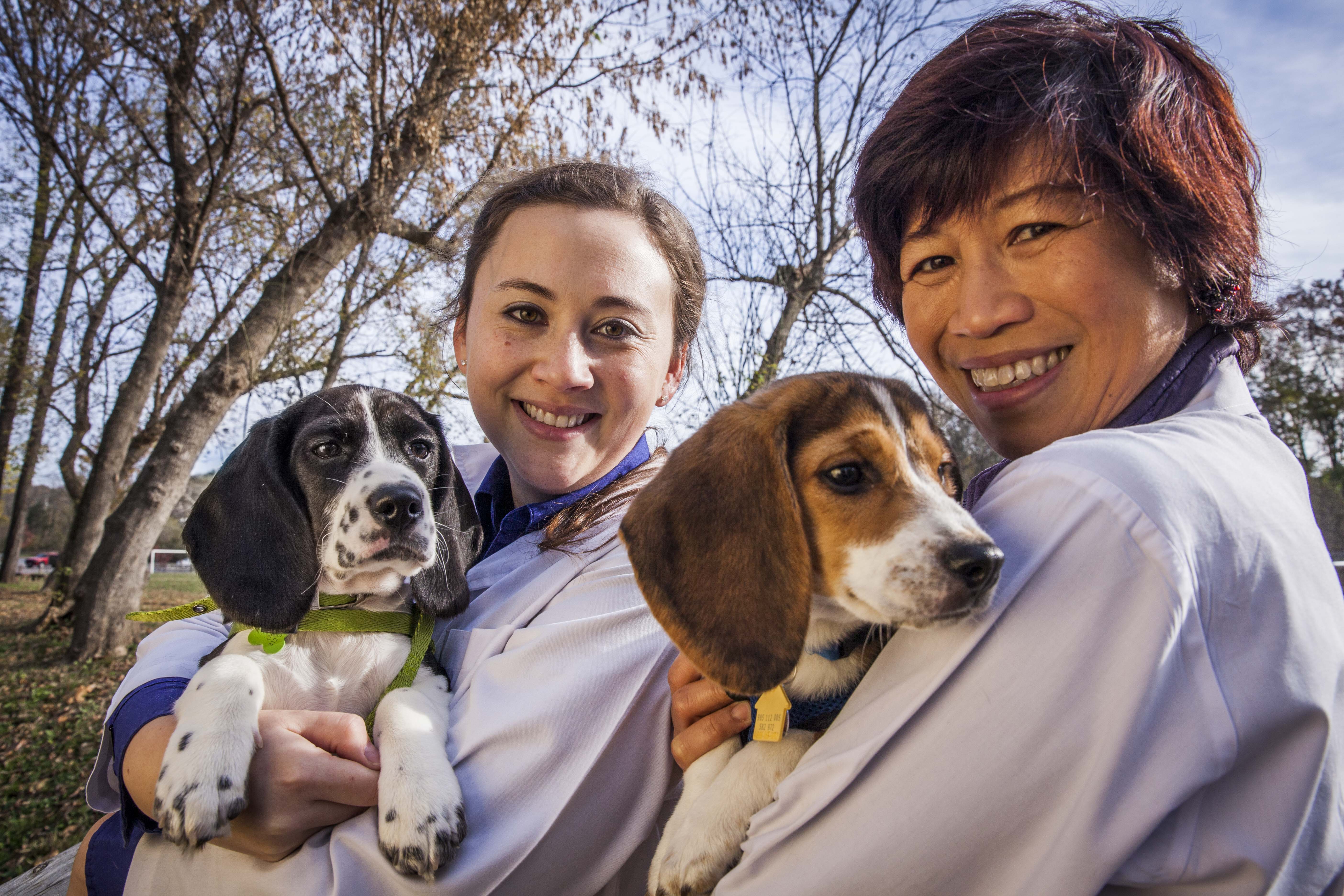 Jennifer Nagashima from the College of Veterinary Medicine, Cornell University and Nucharin Songsasen from the Smithsonian Conservation Biology Institute holding puppies from the first litter of dogs born by in vitro fertilization.