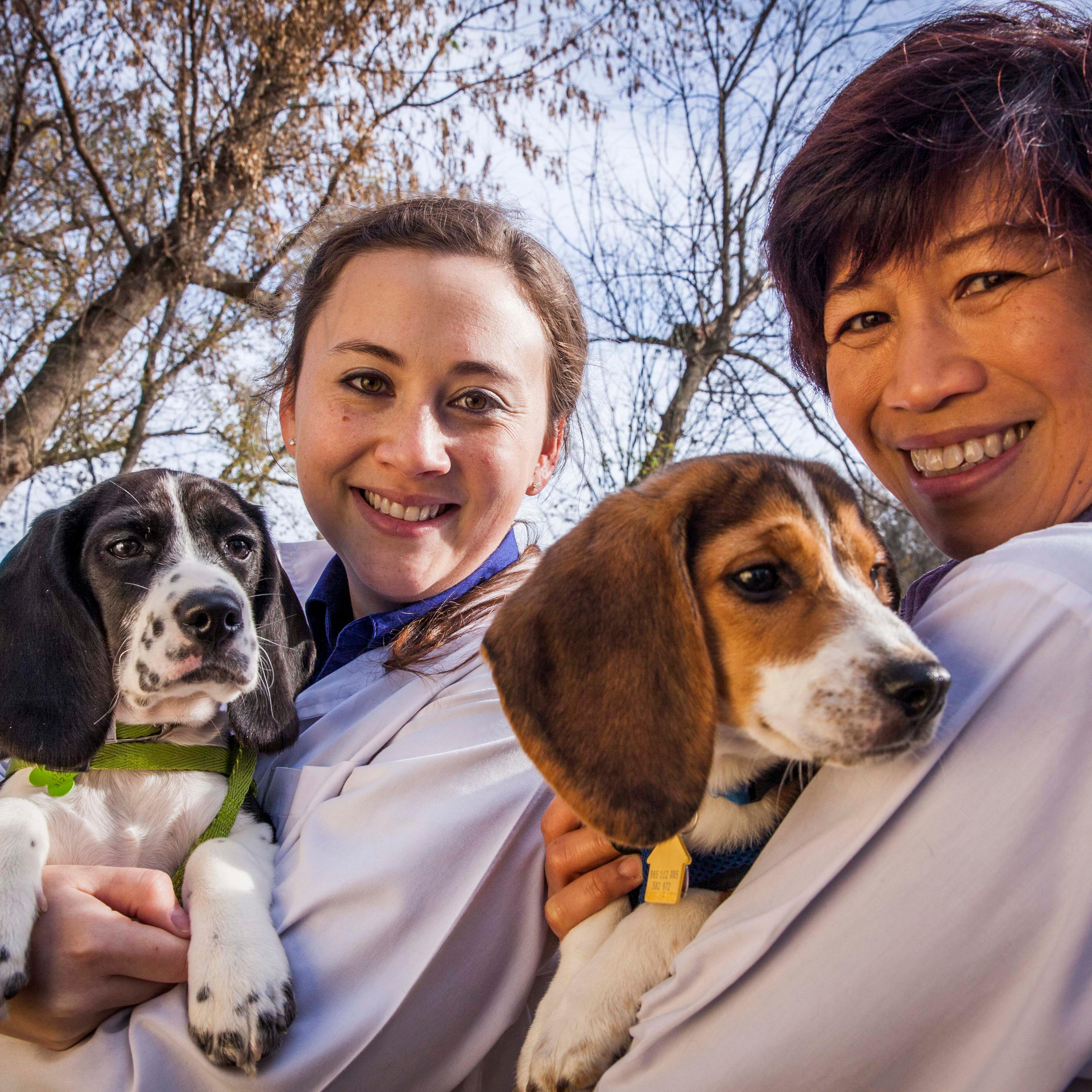 Jennifer Nagashima from the College of Veterinary Medicine, Cornell University and Nucharin Songsasen from the Smithsonian Conservation Biology Institute holding puppies from the first litter of dogs born by in vitro fertilization.