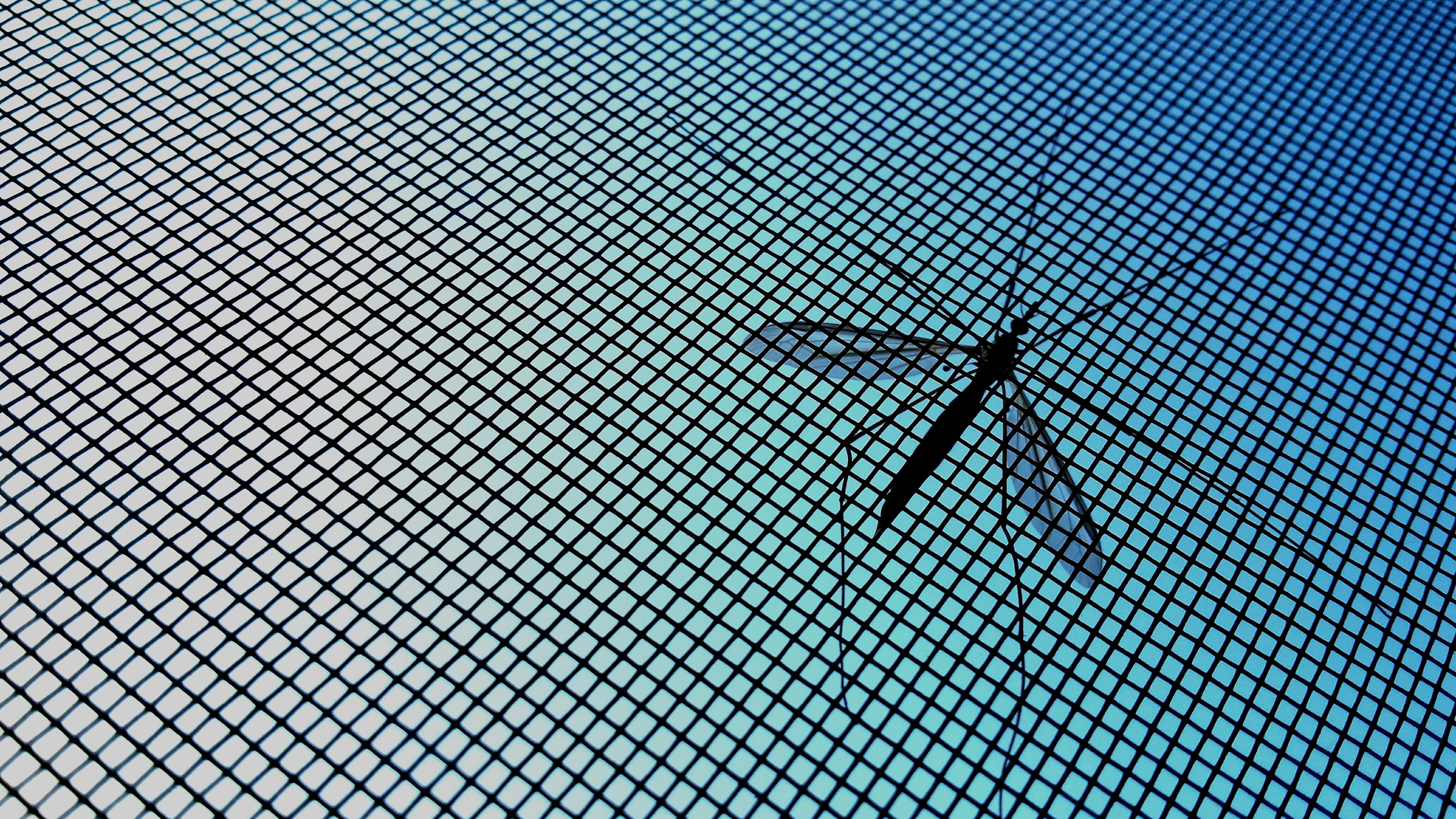 mosquito-net