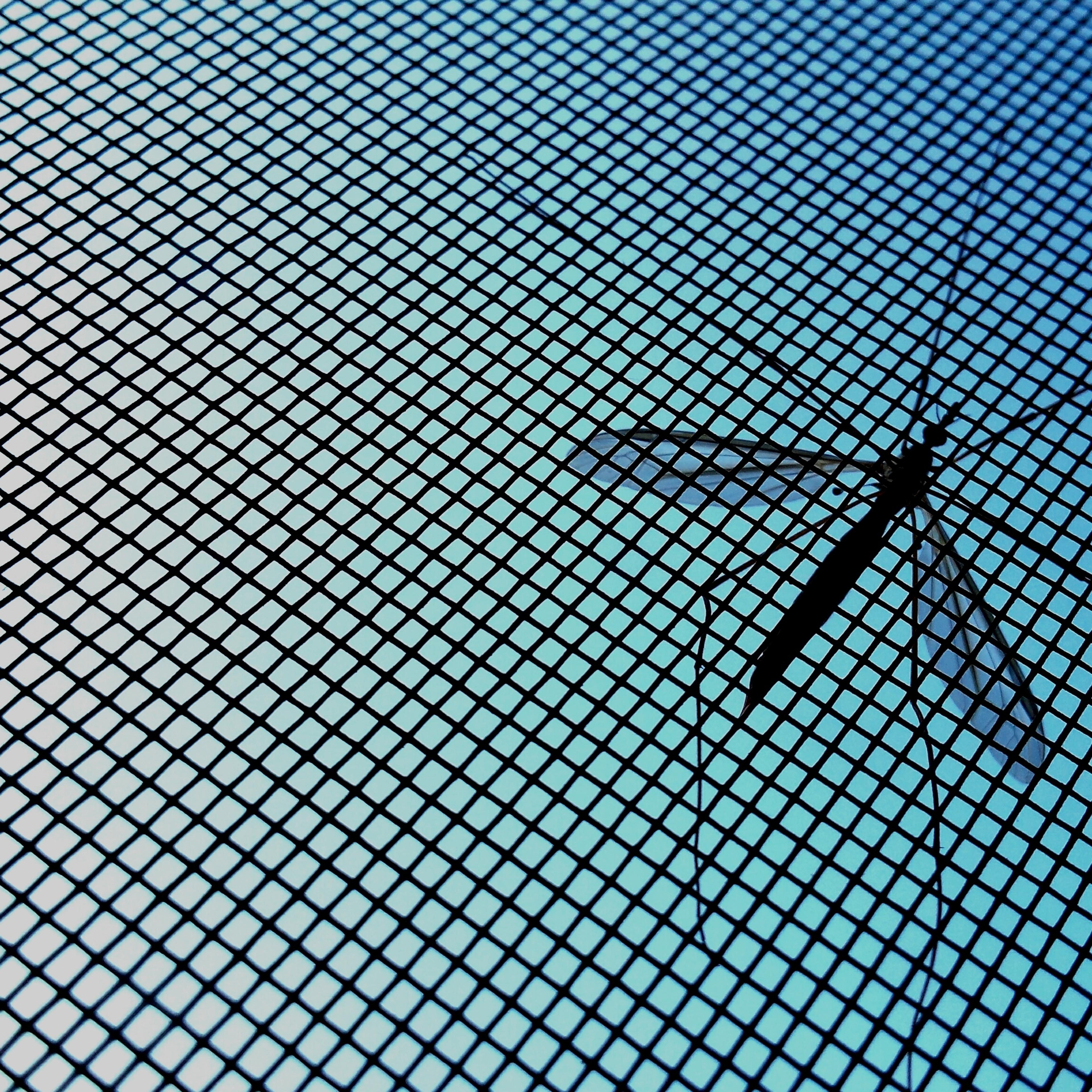 mosquito-net