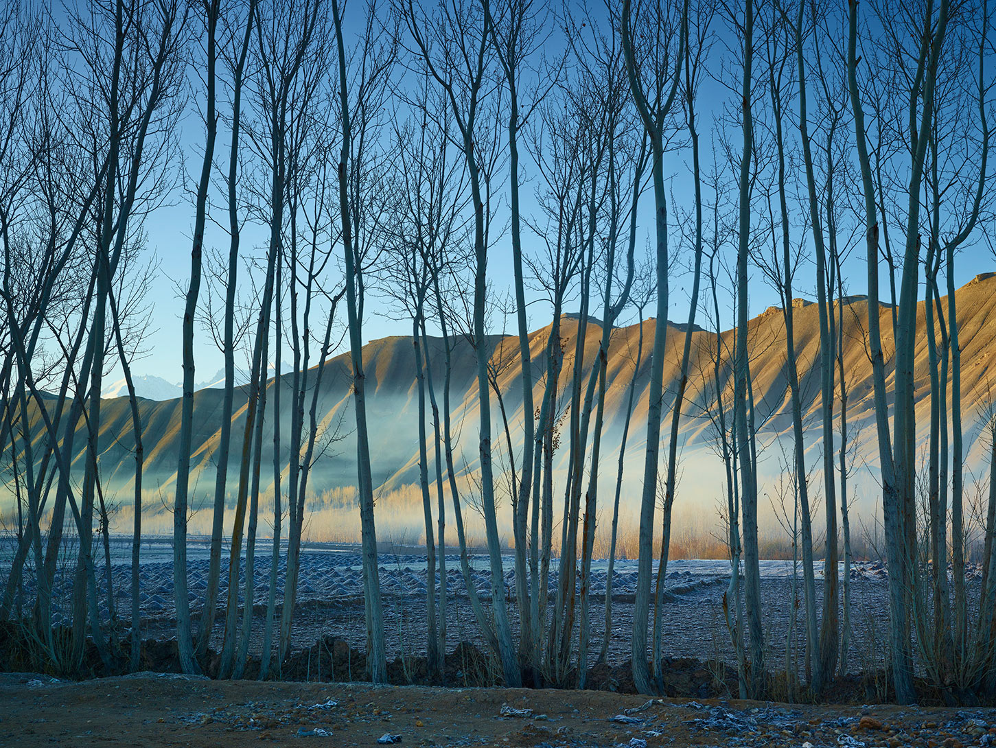 Prix Pictet Commission 2012