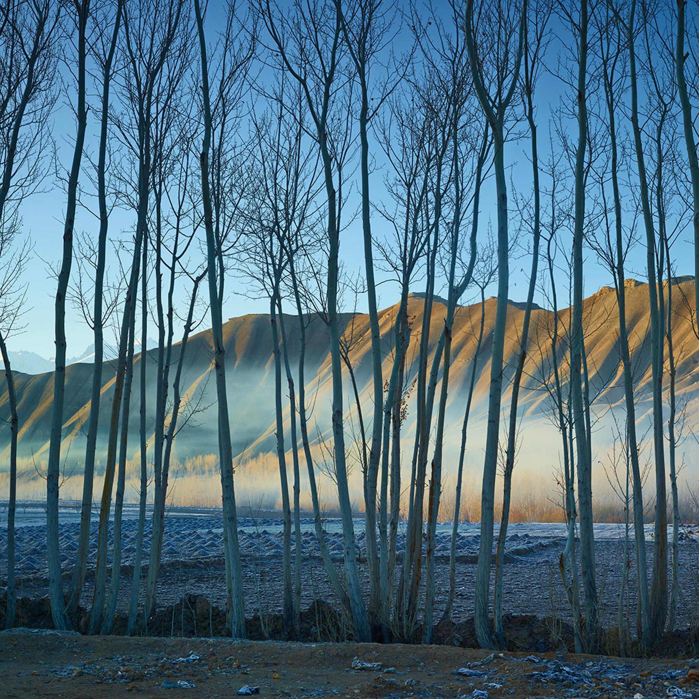 Prix Pictet Commission 2012