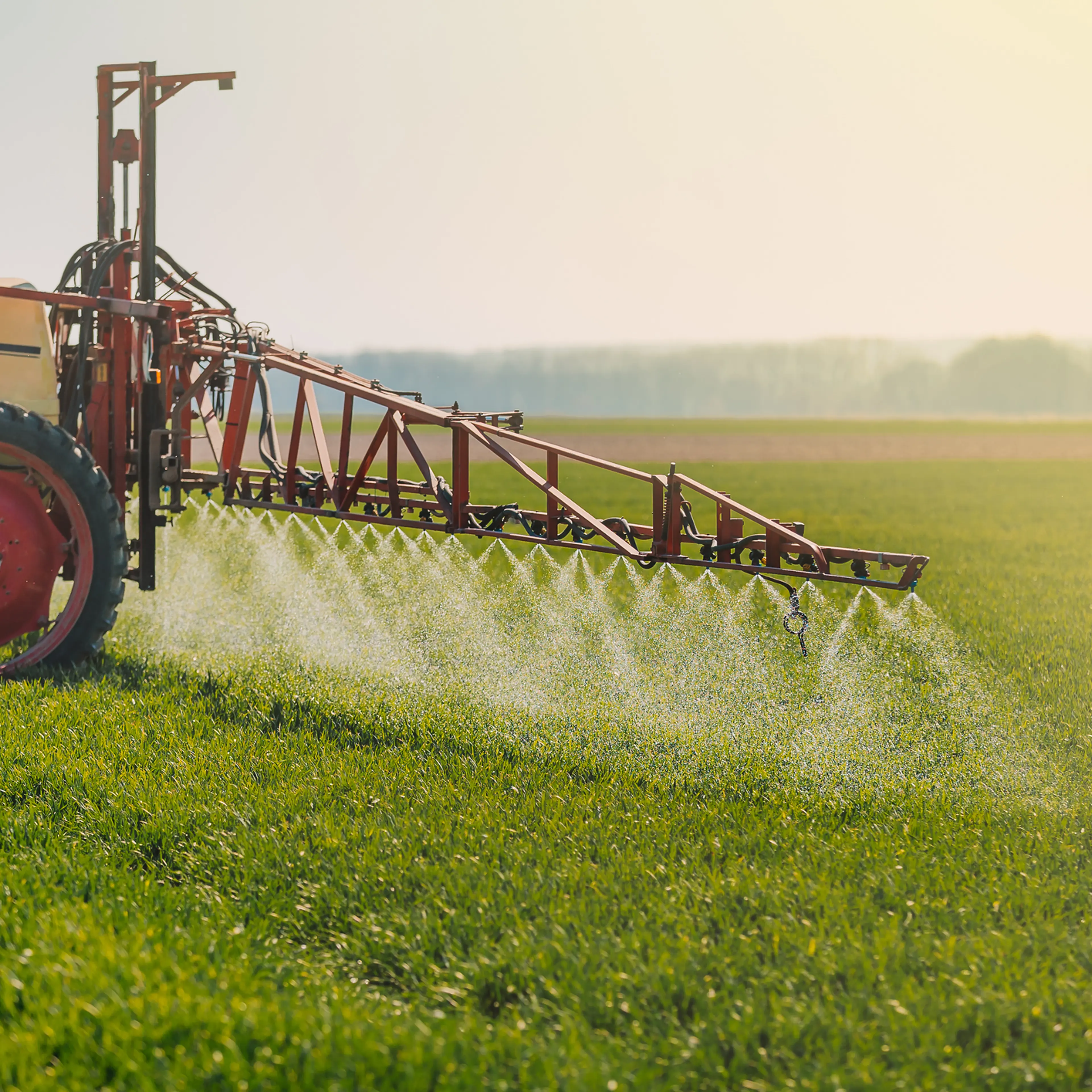 pesticides