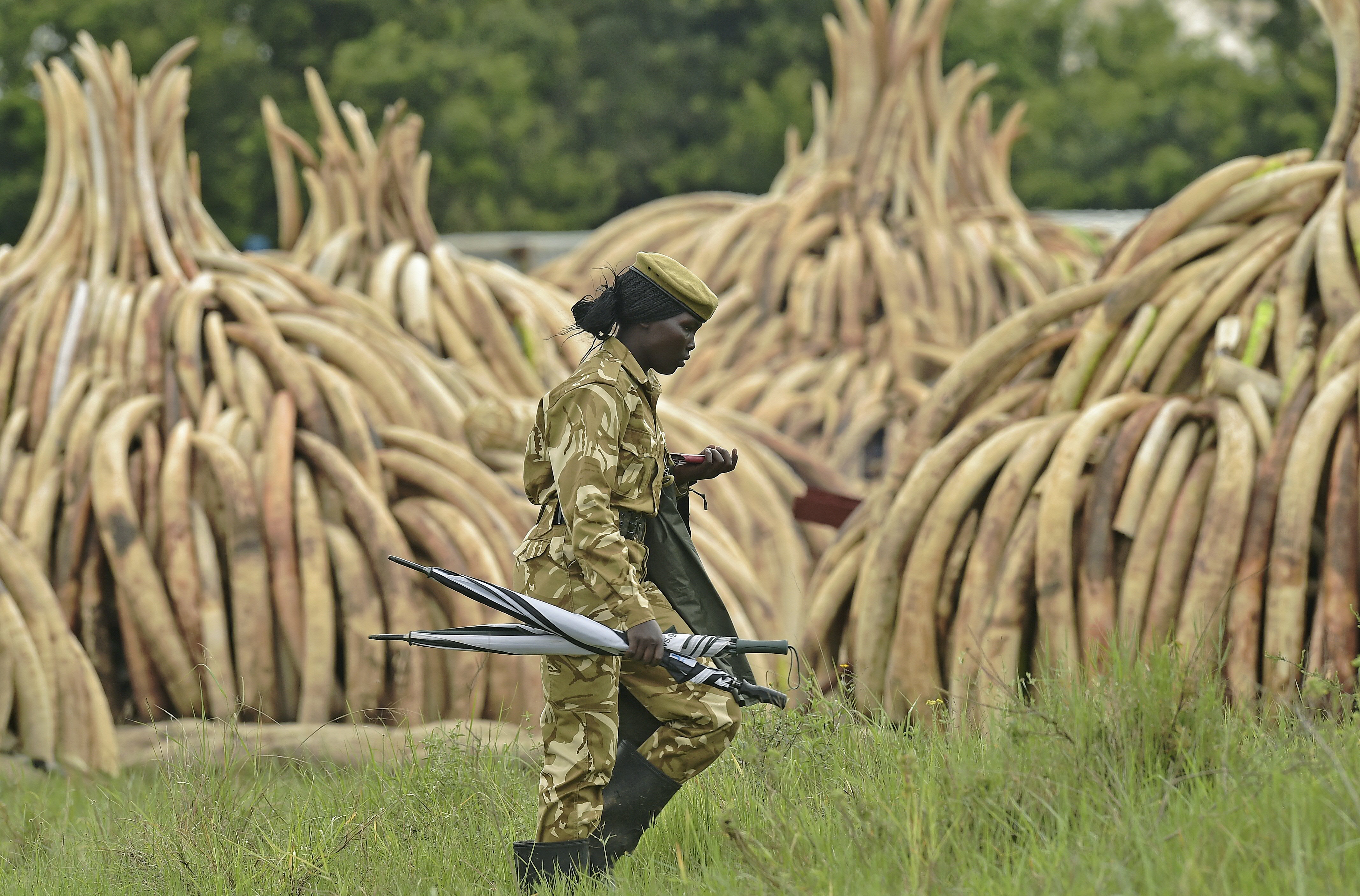 KENYA-IVORY-WILDLIFE-FIRE