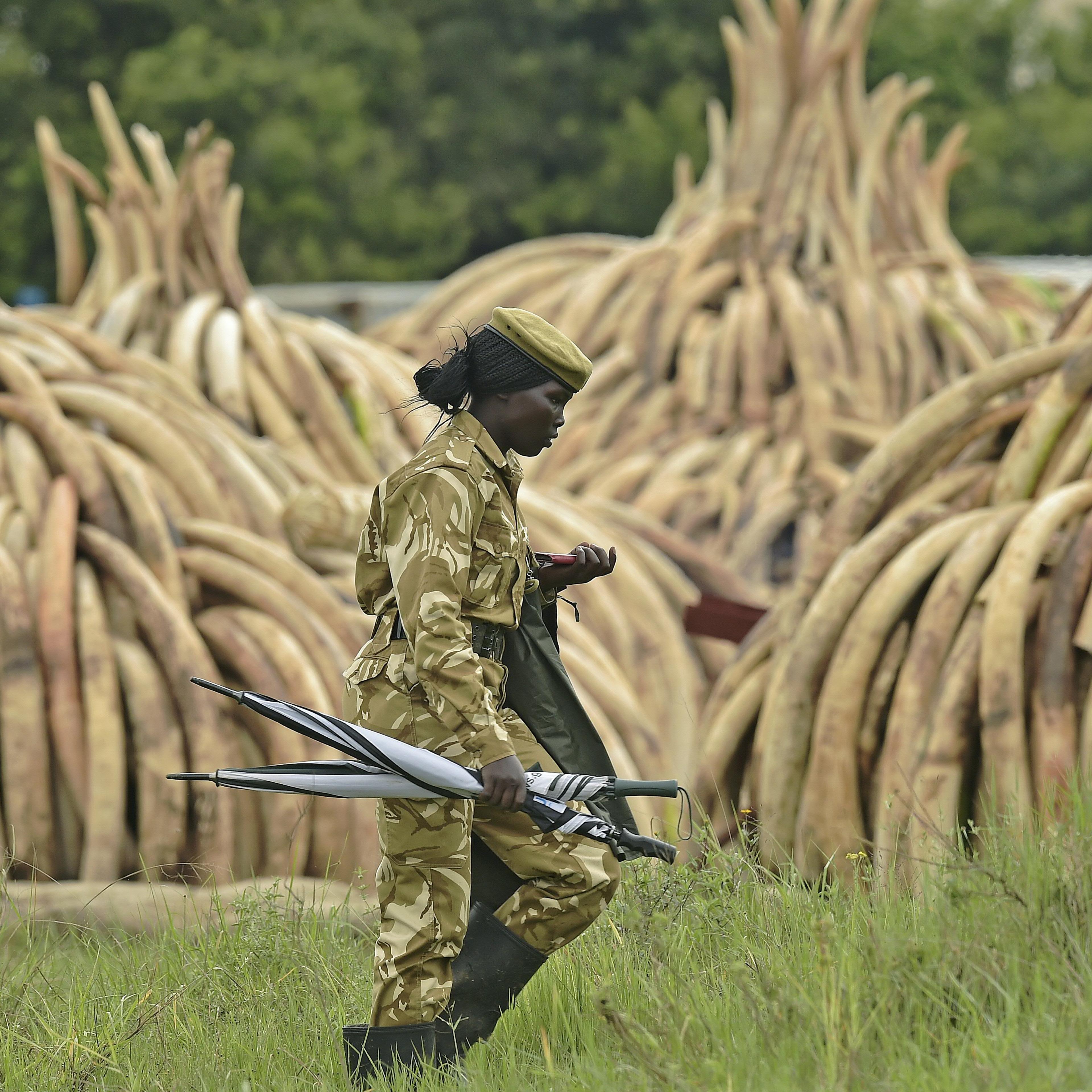 KENYA-IVORY-WILDLIFE-FIRE