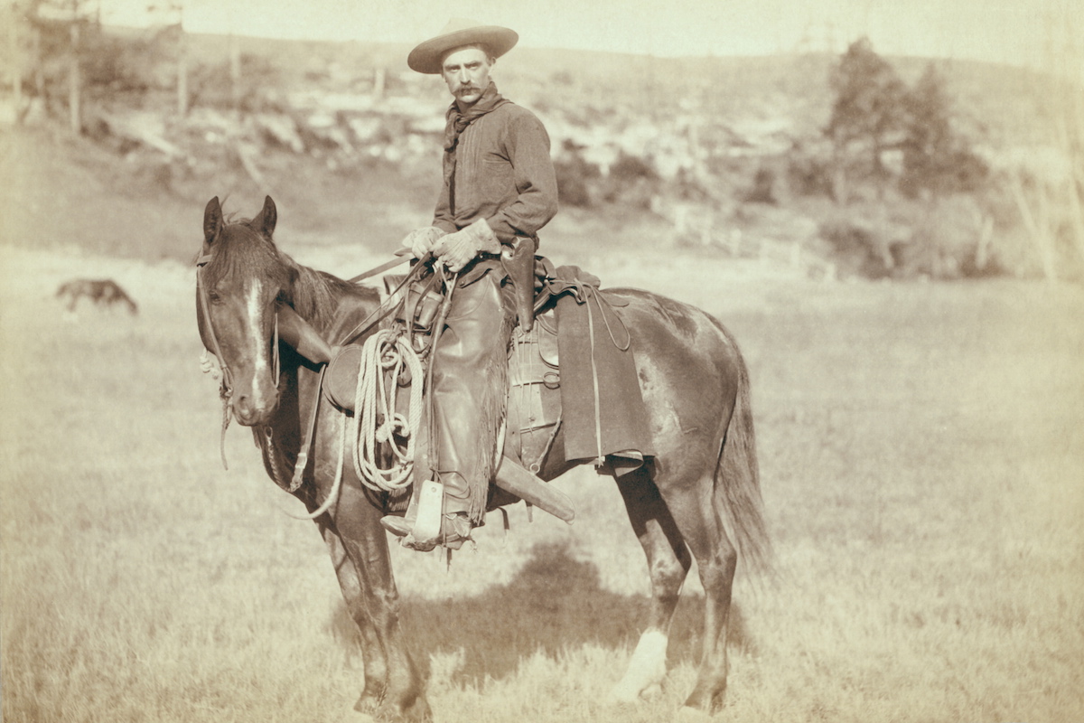 Cow Boy