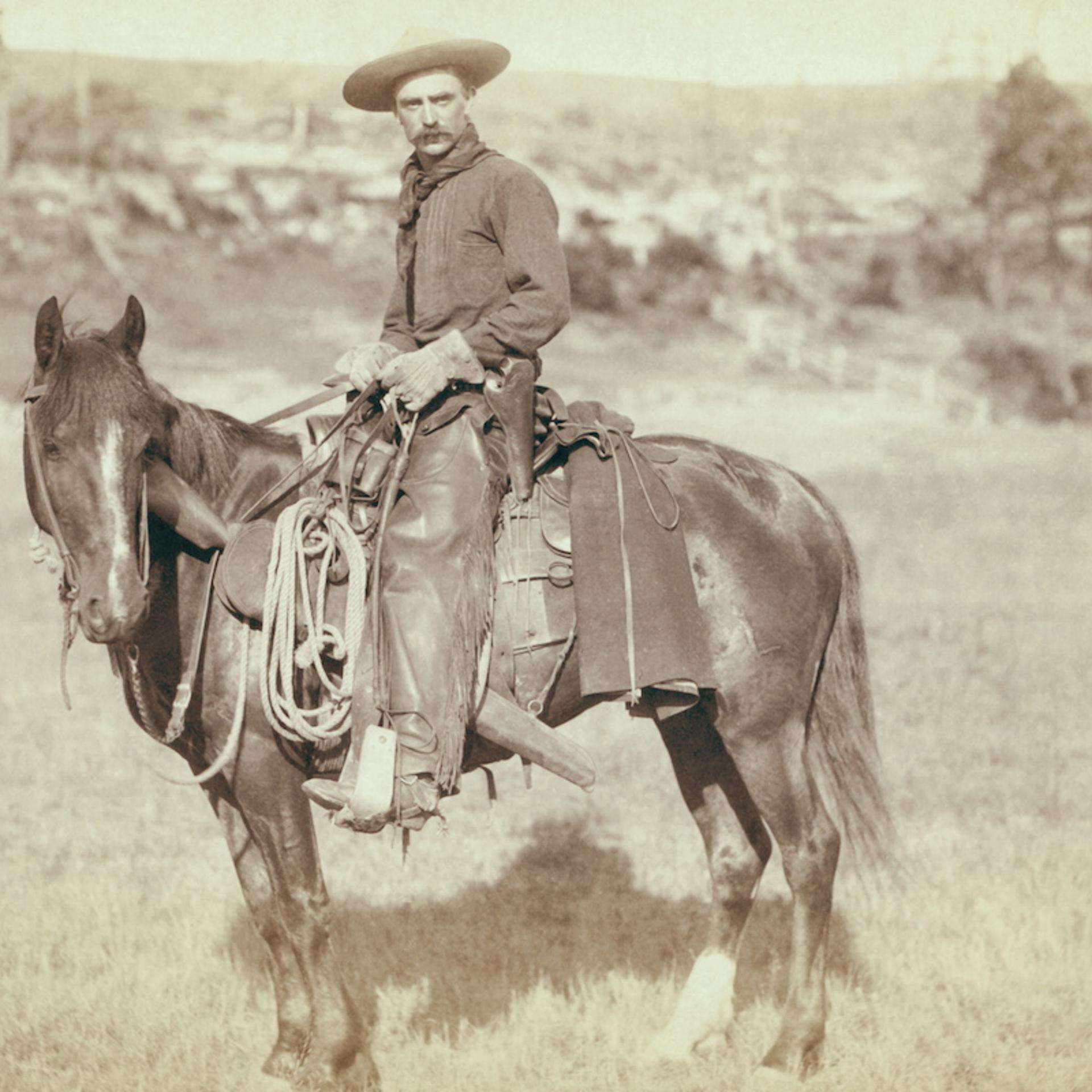 Cow Boy