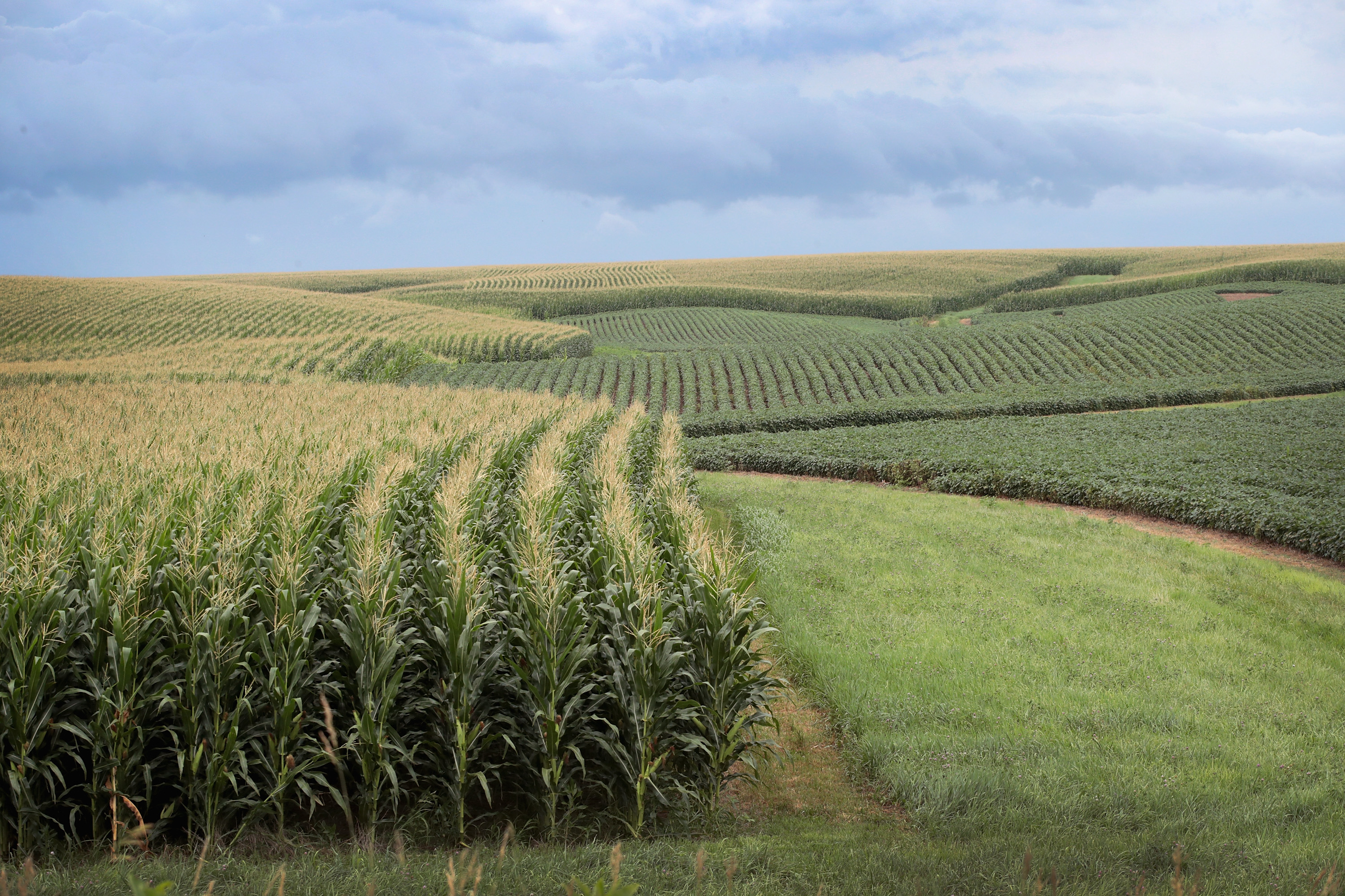 iowa corn trade war