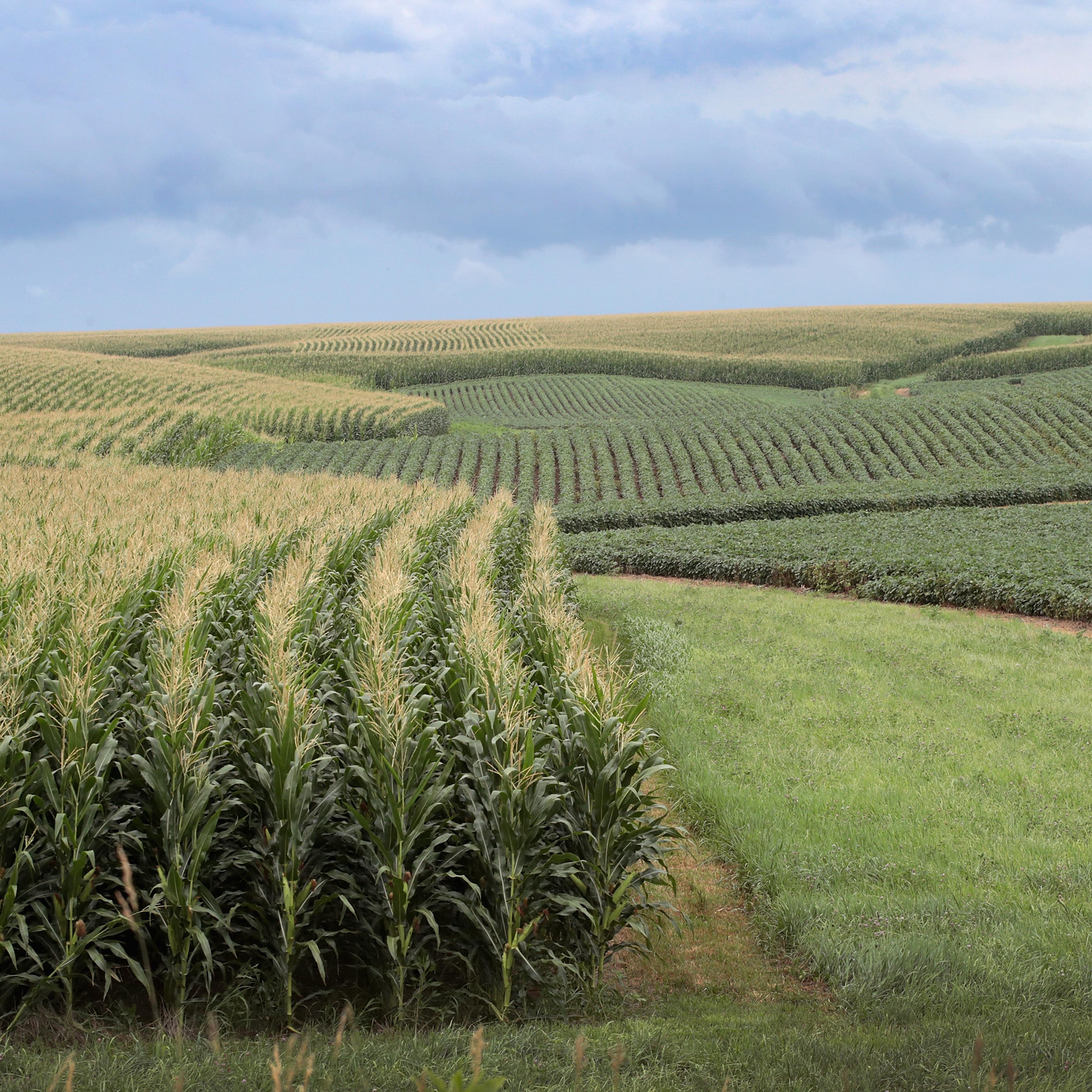 iowa corn trade war