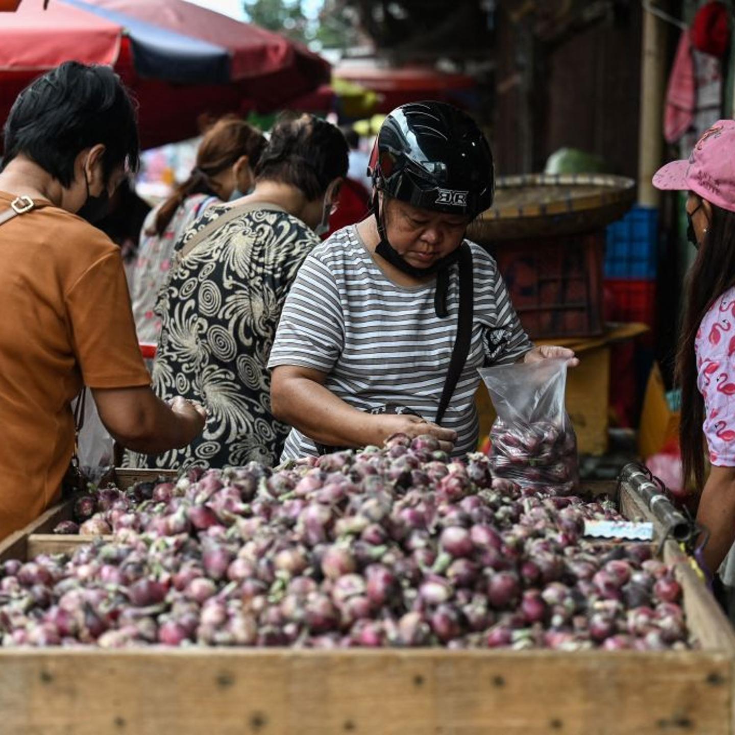PHILIPPINES-AGRICULTURE-ONION