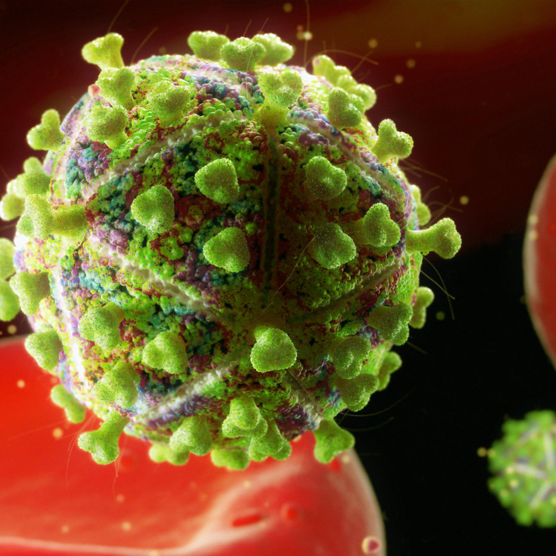 HIV virus particle