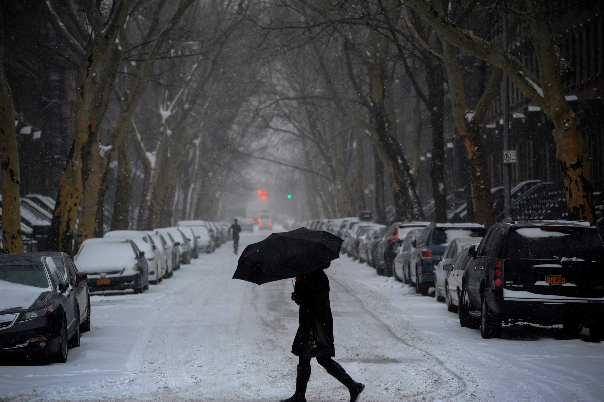 Winter Storm